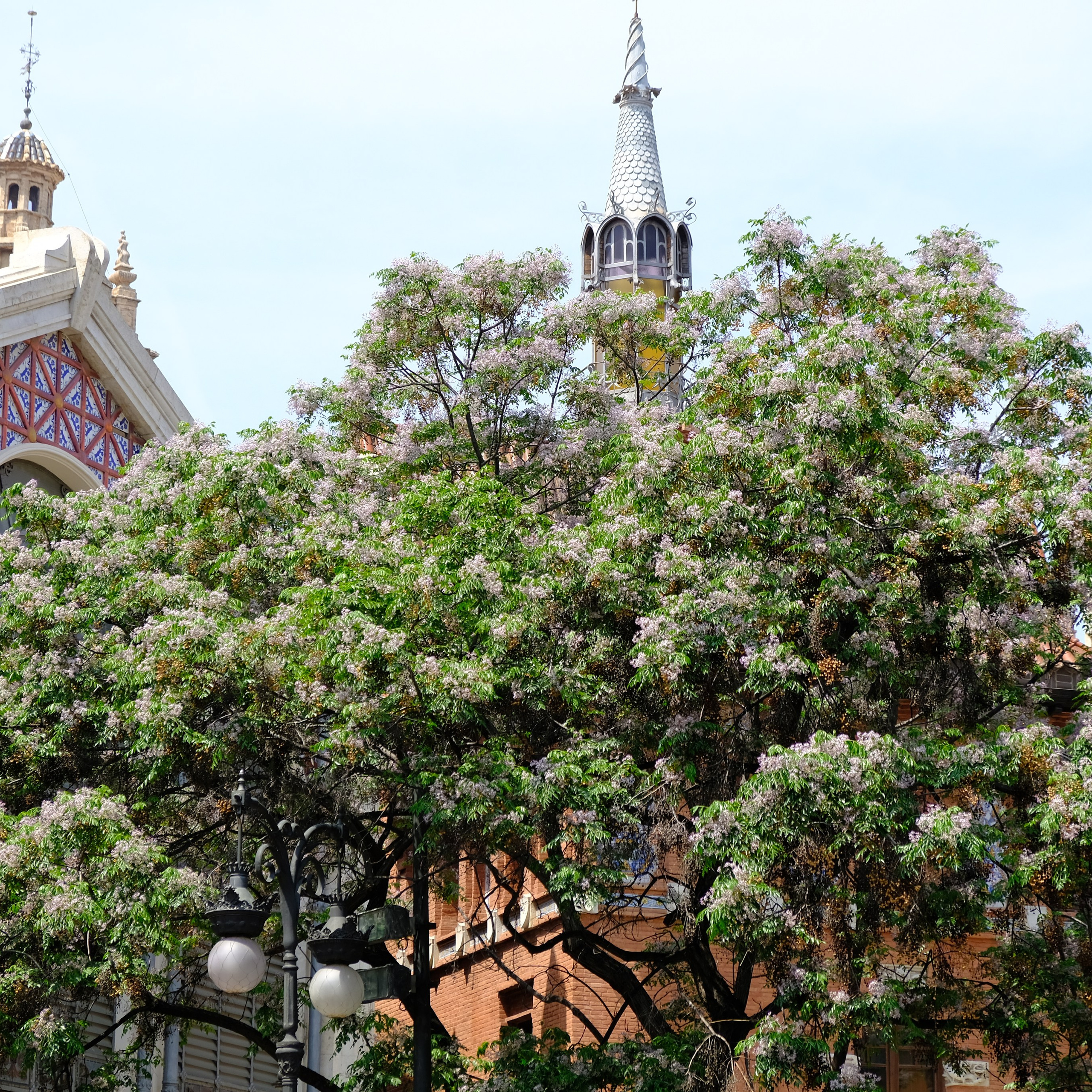 Улочки старого города с обзором главных достопримечательностей. Novikov Mikhail, fotógrafo de Valencia