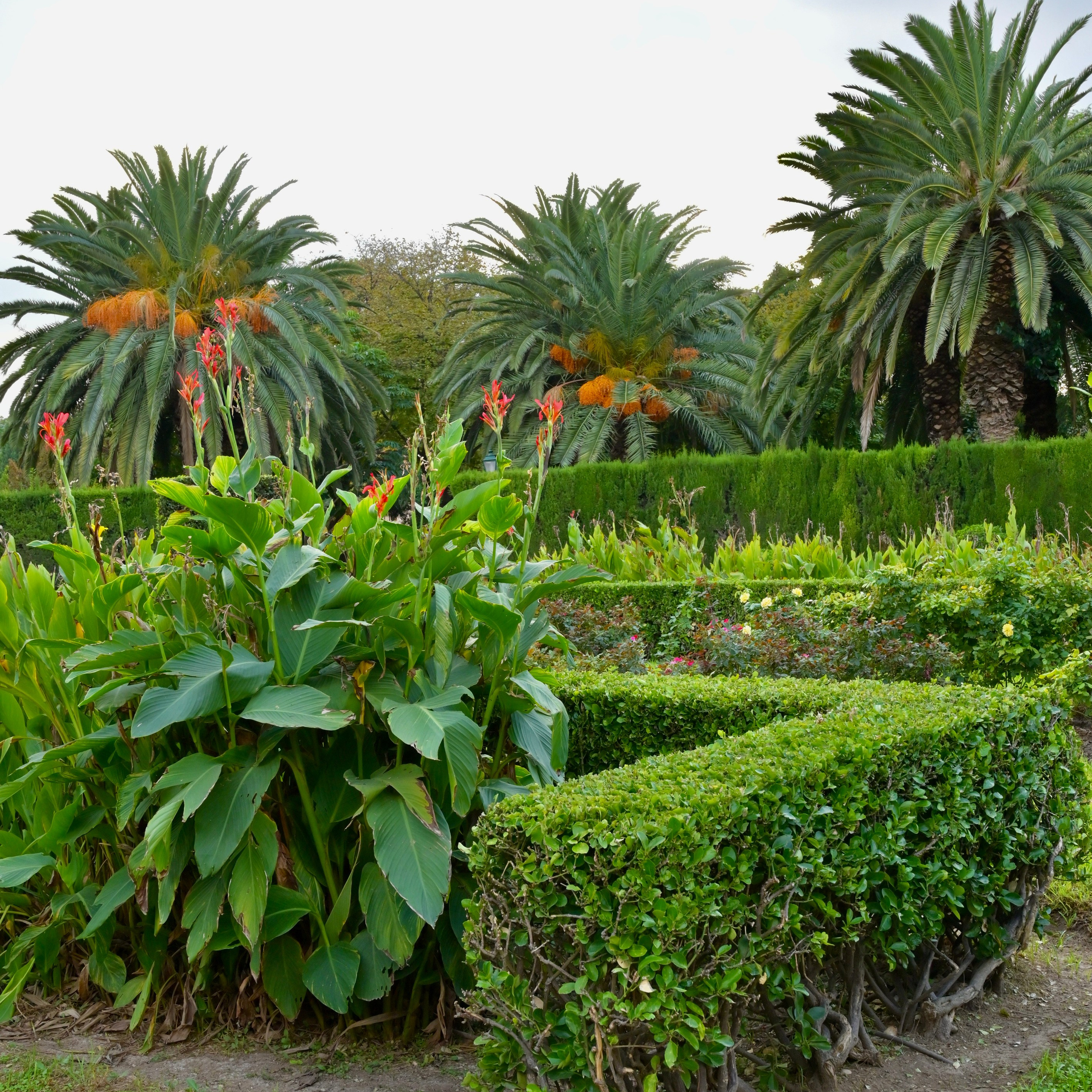 Королевский парк. Гид и фотограф в Валенсии Новиков Михаил