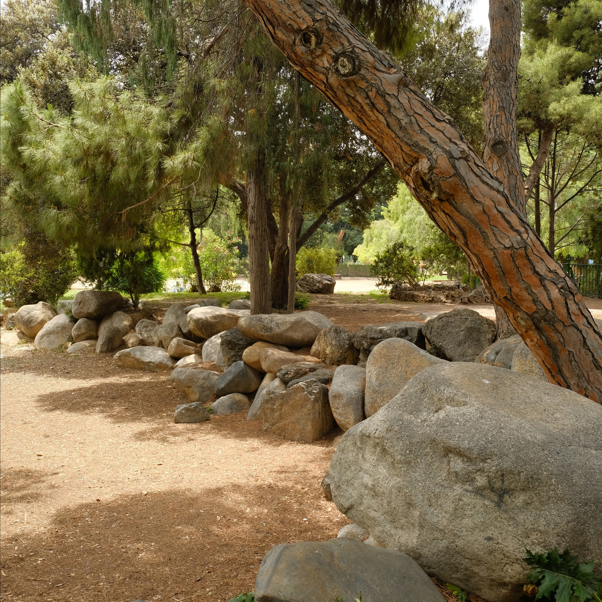 Королевский парк. Гид и фотограф в Валенсии Новиков Михаил