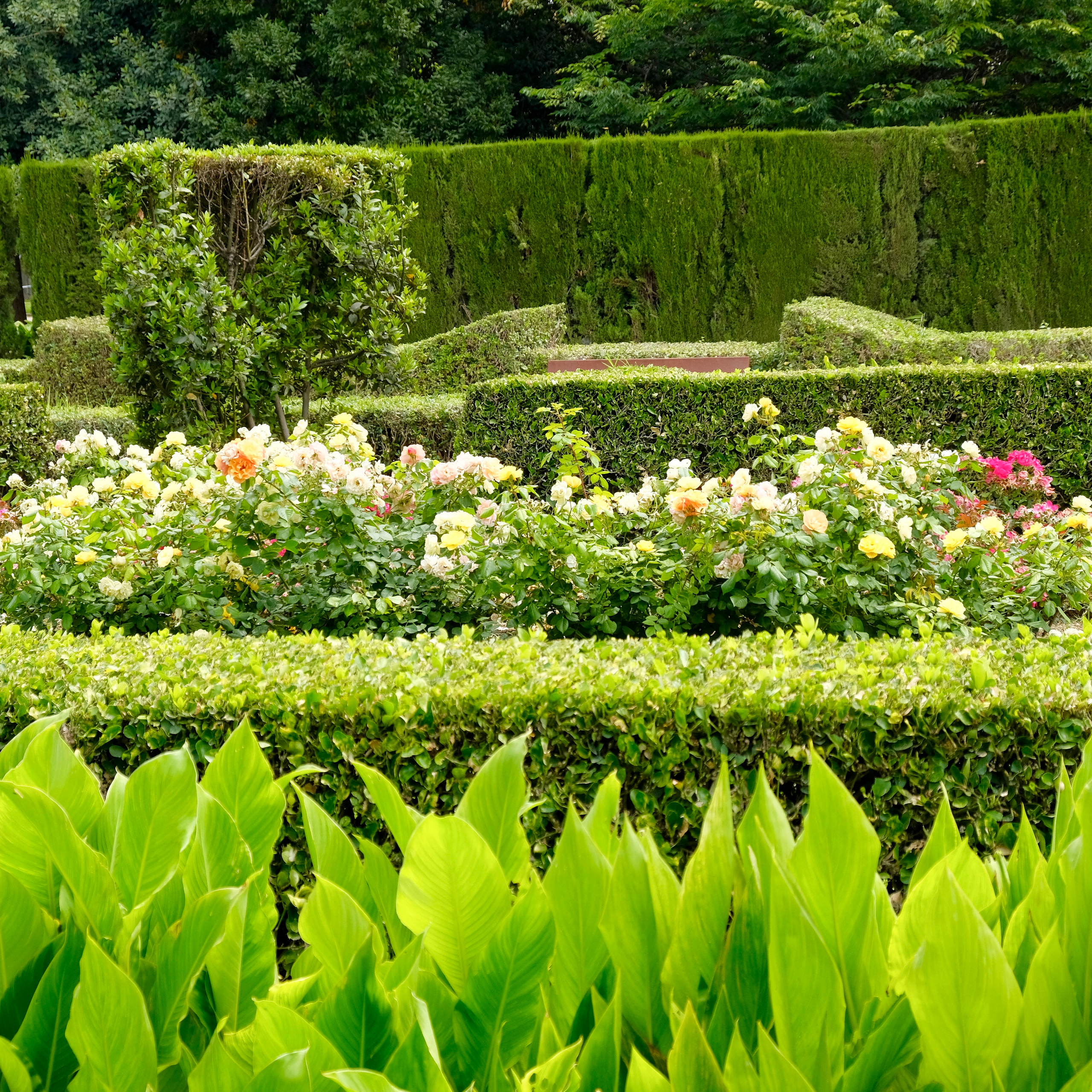 Королевский парк. Гид и фотограф в Валенсии Новиков Михаил