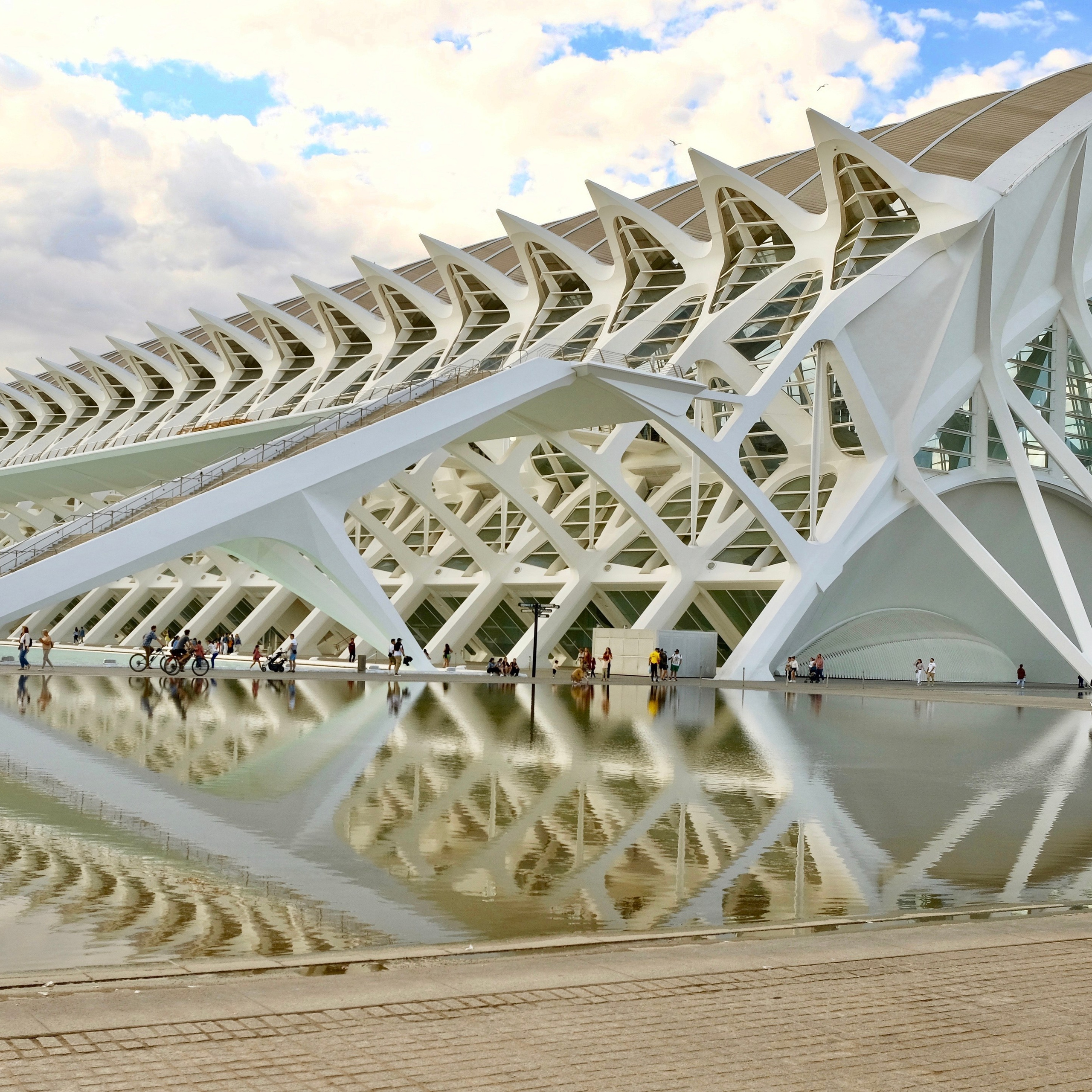 Сад Умбракл. Гид и фотограф в Валенсии Новиков Михаил
