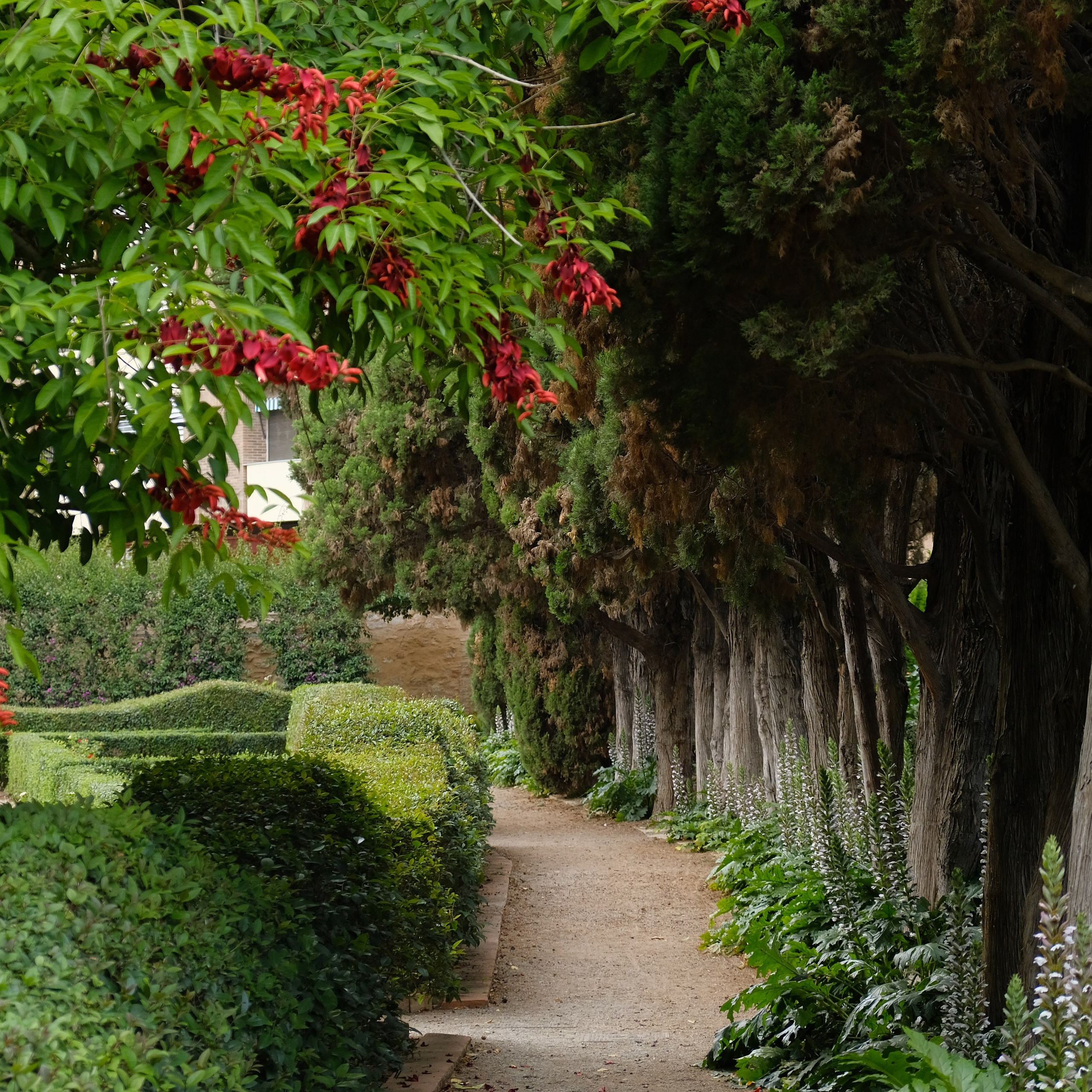Мосты парка Турия в Валенсии. Гид и фотограф в Валенсии Новиков Михаил