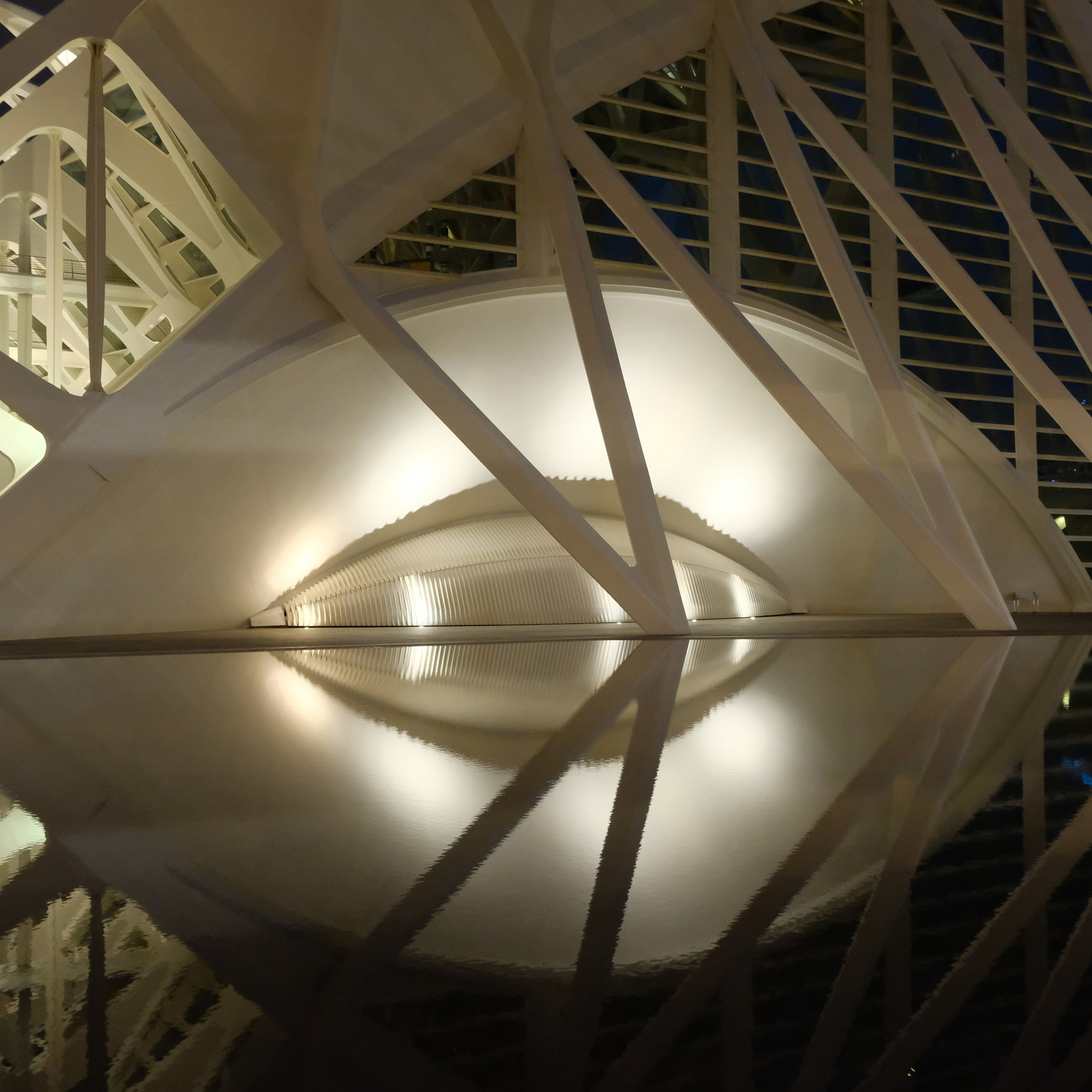 Из средневековой Валенсии в Город искусств и наук через сады Турии. Гид и фотограф в Валенсии Новиков Михаил