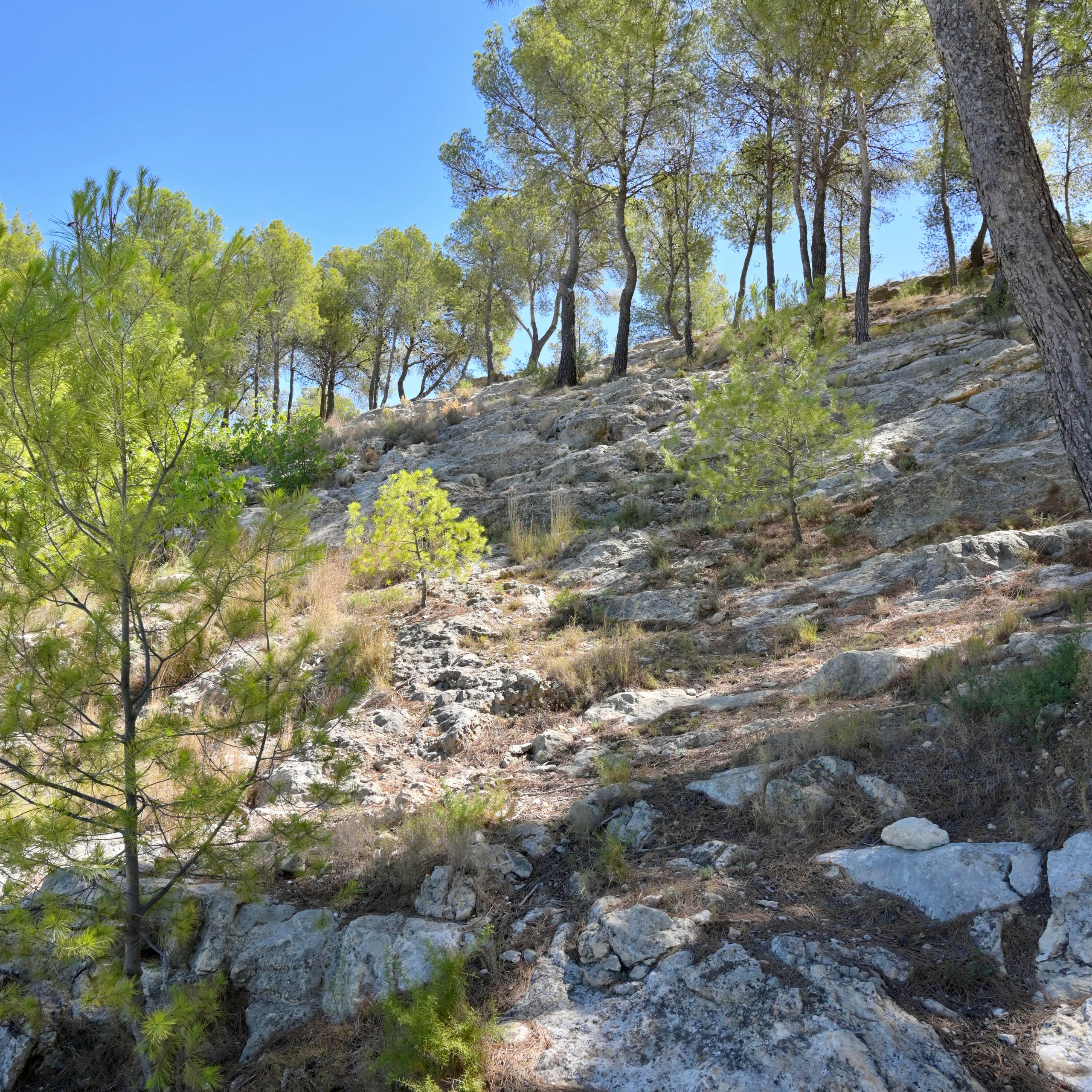 Лирия (Liria, España). Гид и фотограф в Валенсии Новиков Михаил