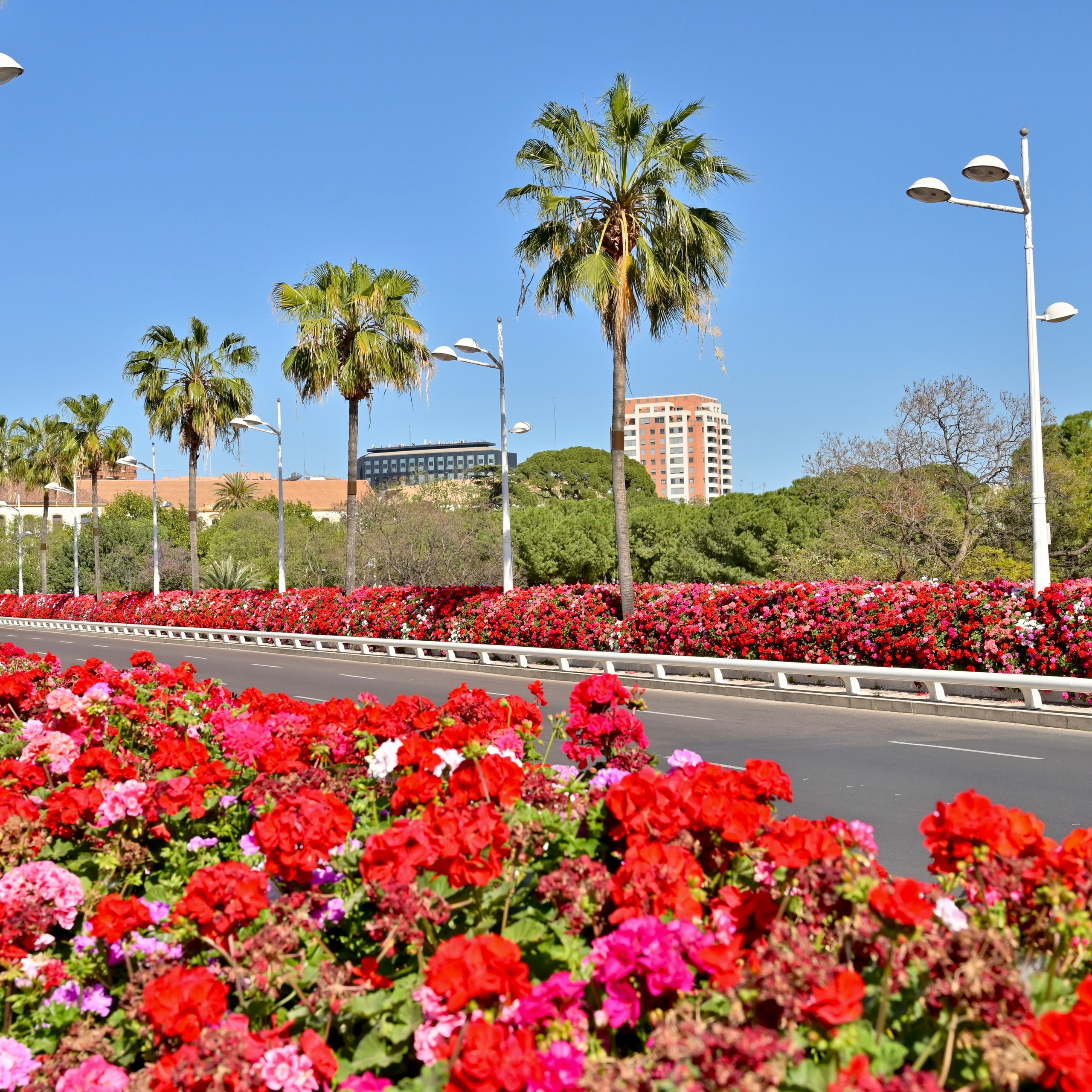 Из средневековой Валенсии в Город искусств и наук через сады Турии. Гид и фотограф в Валенсии Новиков Михаил