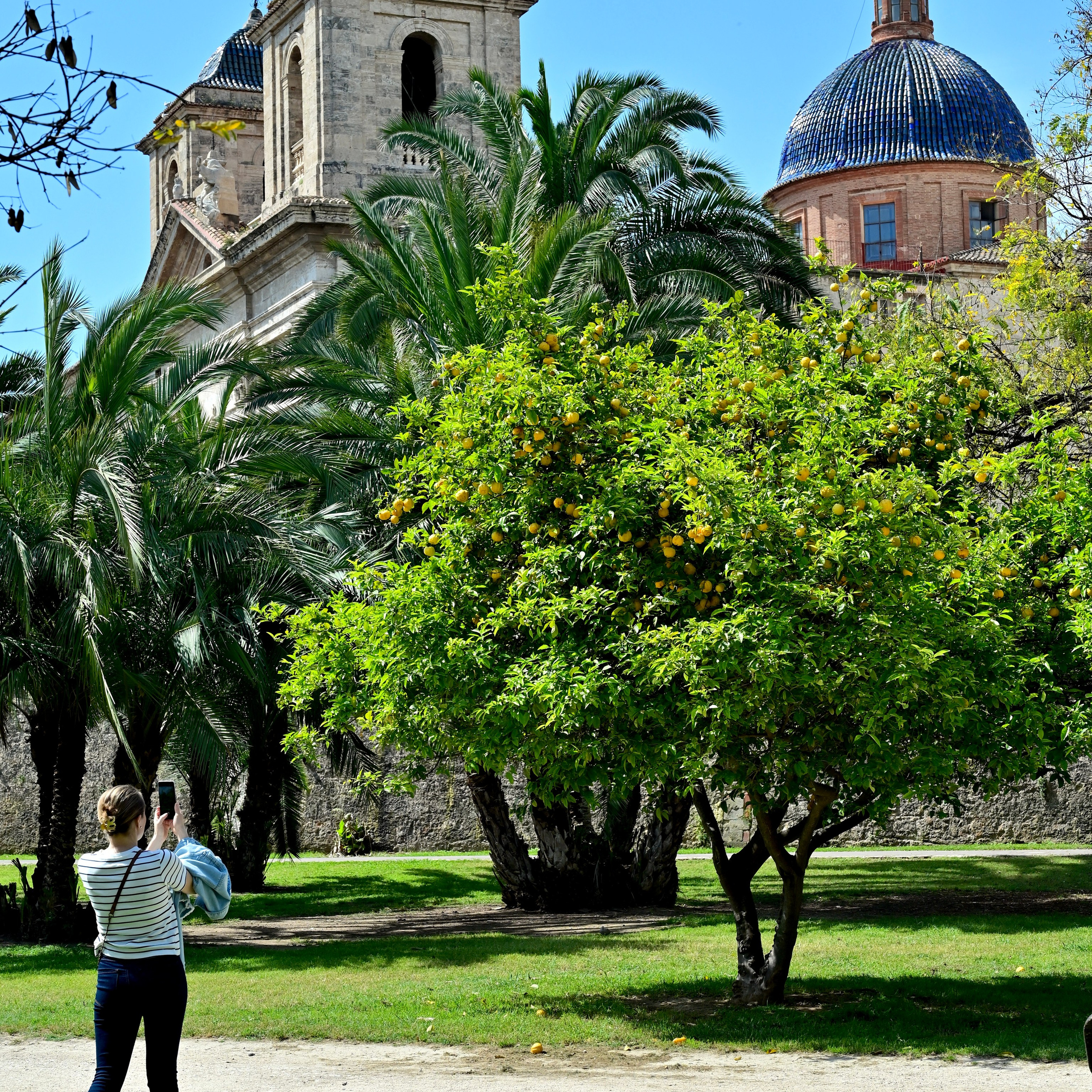 Excursiones y viajes. Novikov Mikhail, fotógrafo de Valencia