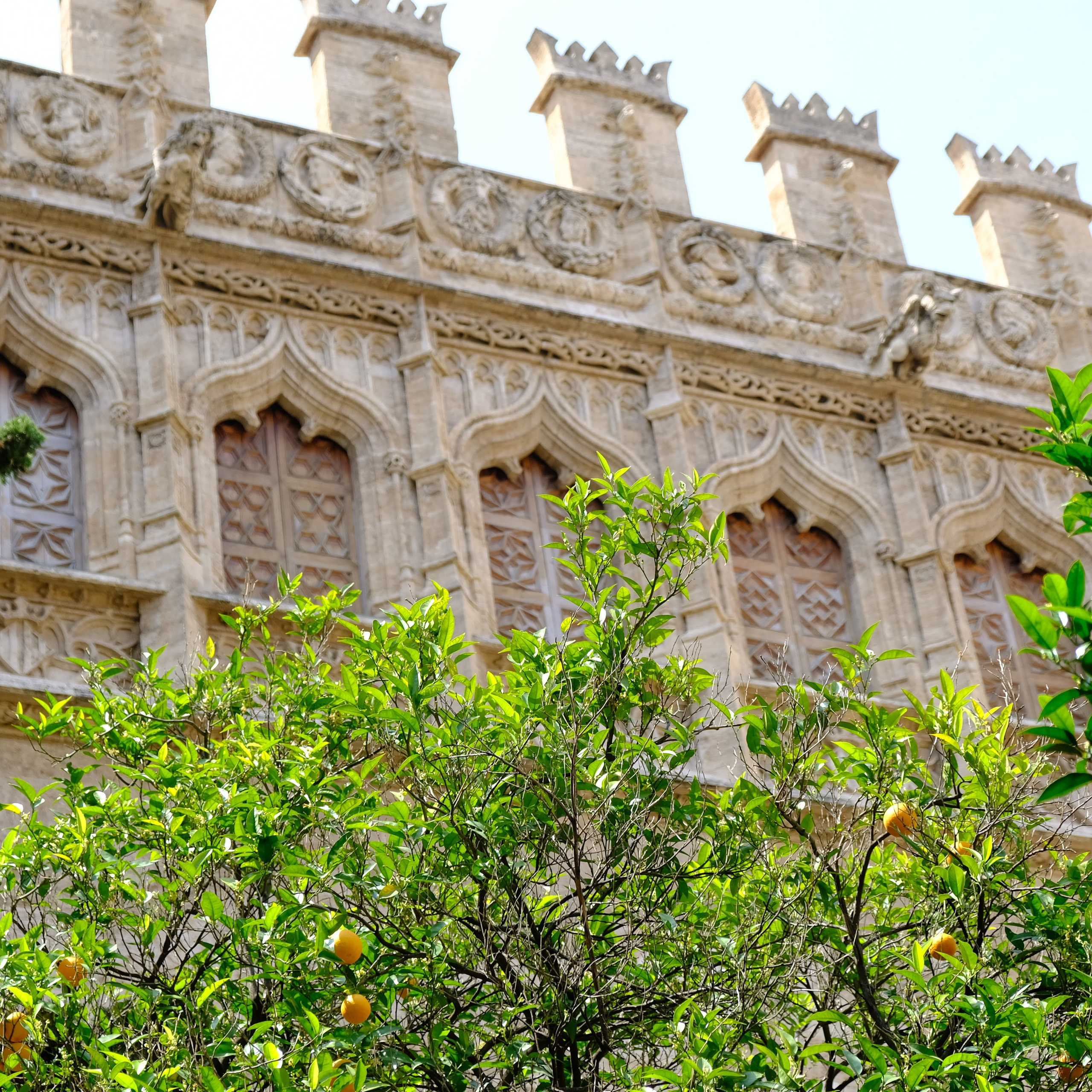 Улочки старого города с обзором главных достопримечательностей. Novikov Mikhail, fotógrafo de Valencia