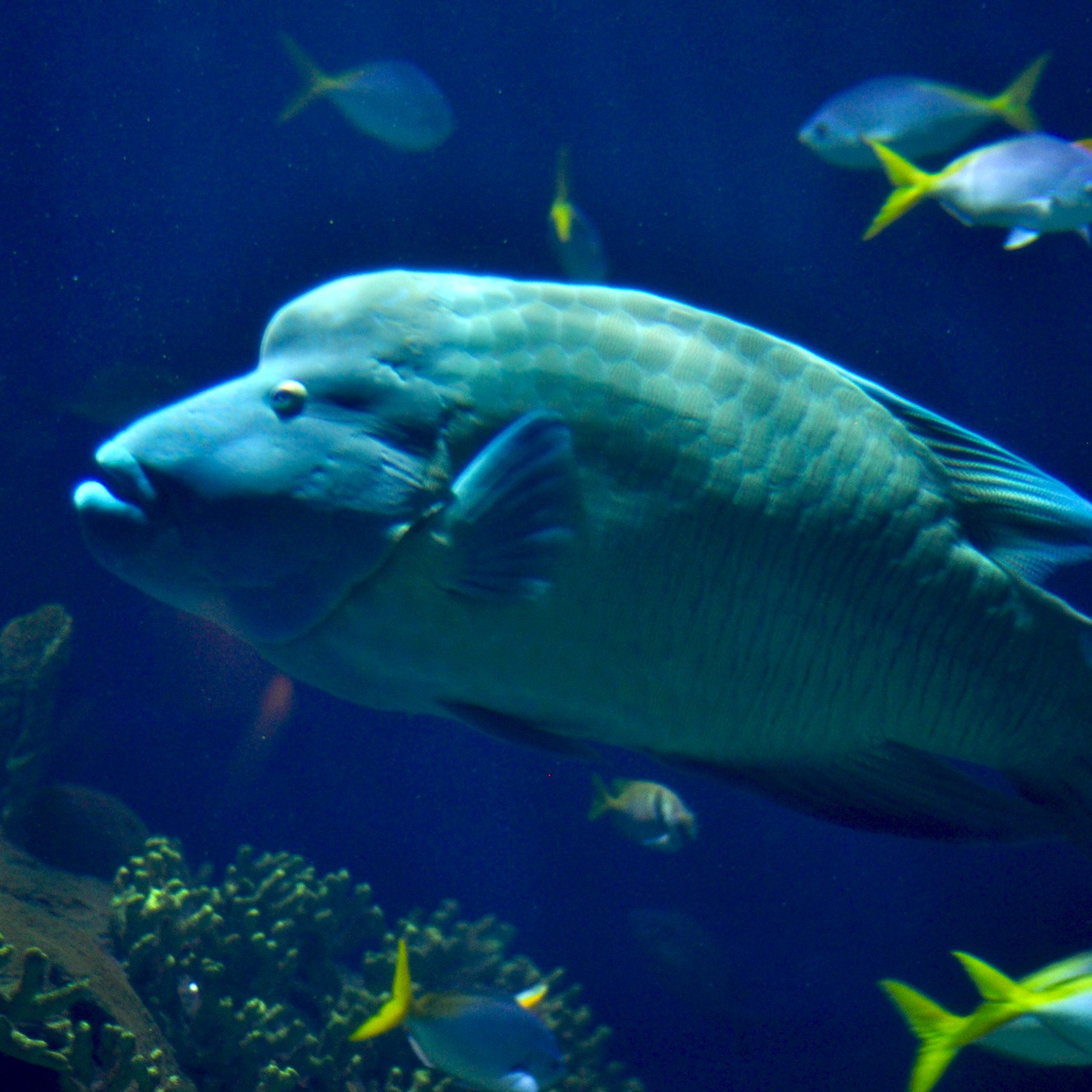 Океанографик в Валенсии. Гид и фотограф в Валенсии Новиков Михаил