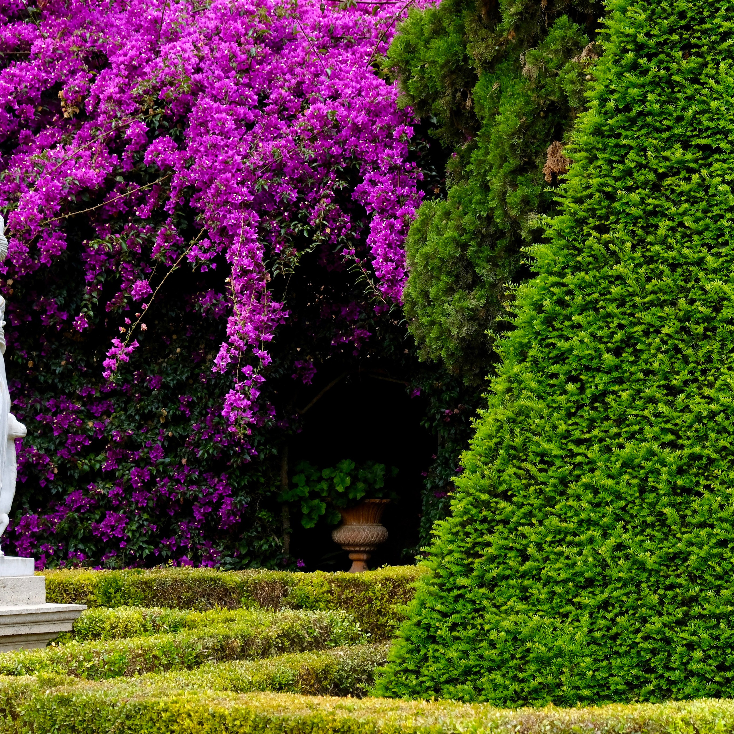 Мосты парка Турия в Валенсии. Гид и фотограф в Валенсии Новиков Михаил