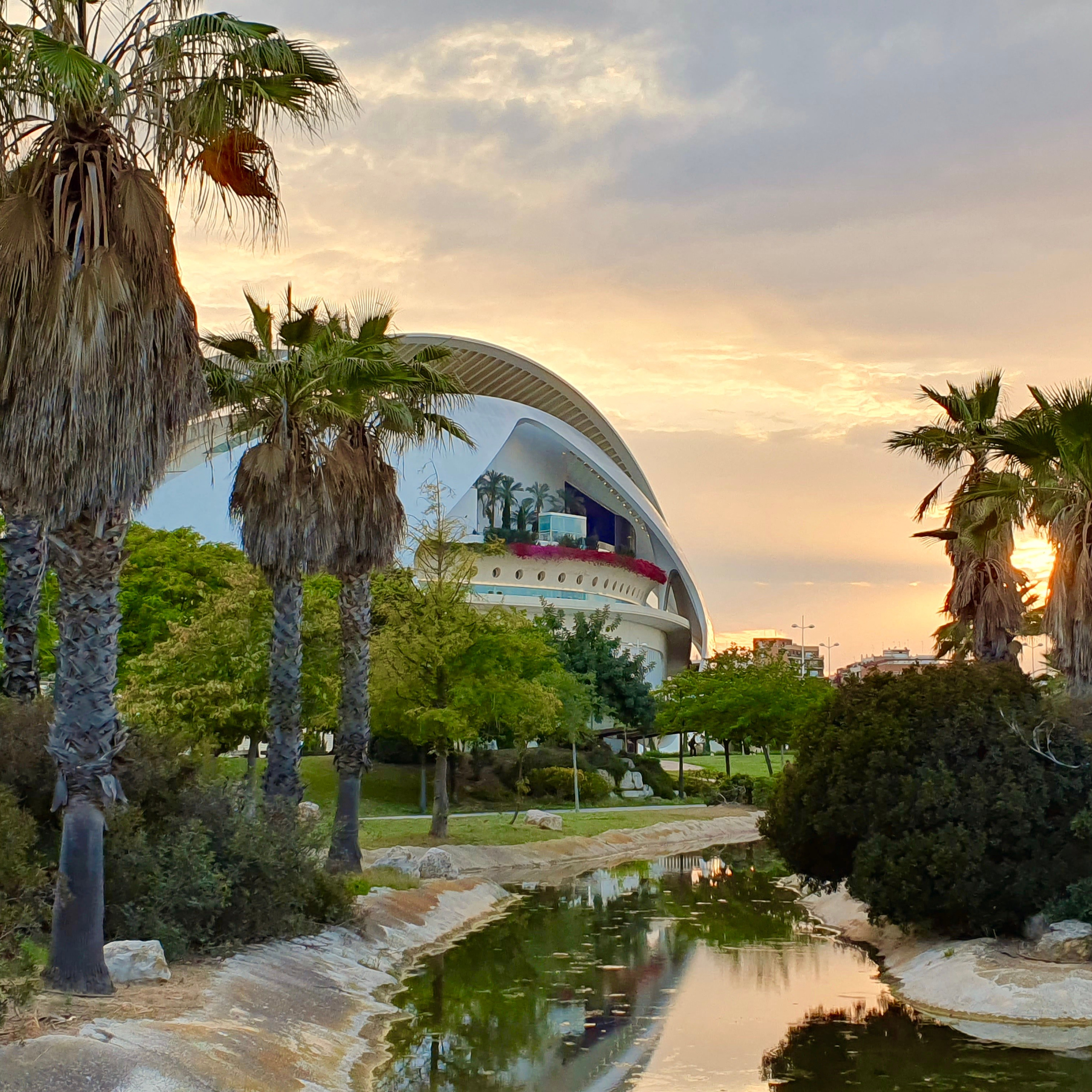 Сад Умбракл. Гид и фотограф в Валенсии Новиков Михаил