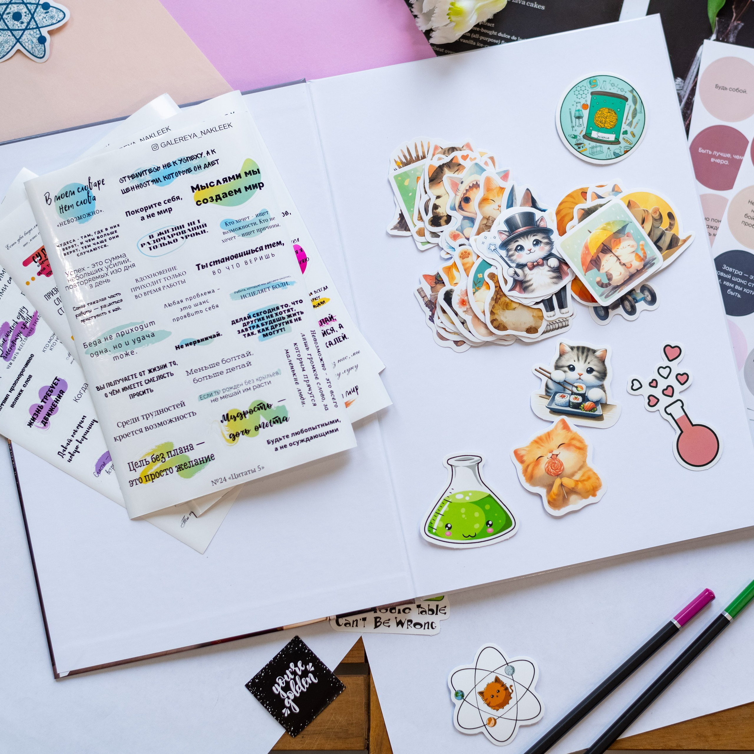 Альбом с наклейками. Выпускные альбомы в Подольске Москве и МО