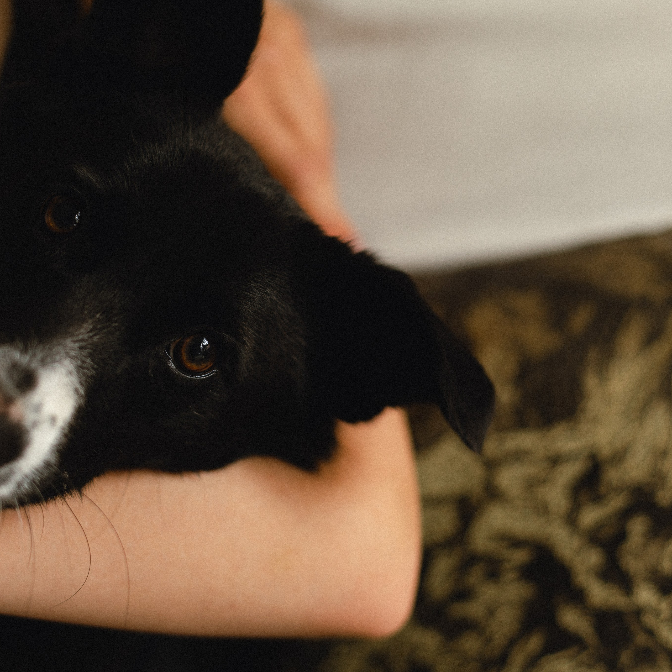 Лимонное настроение