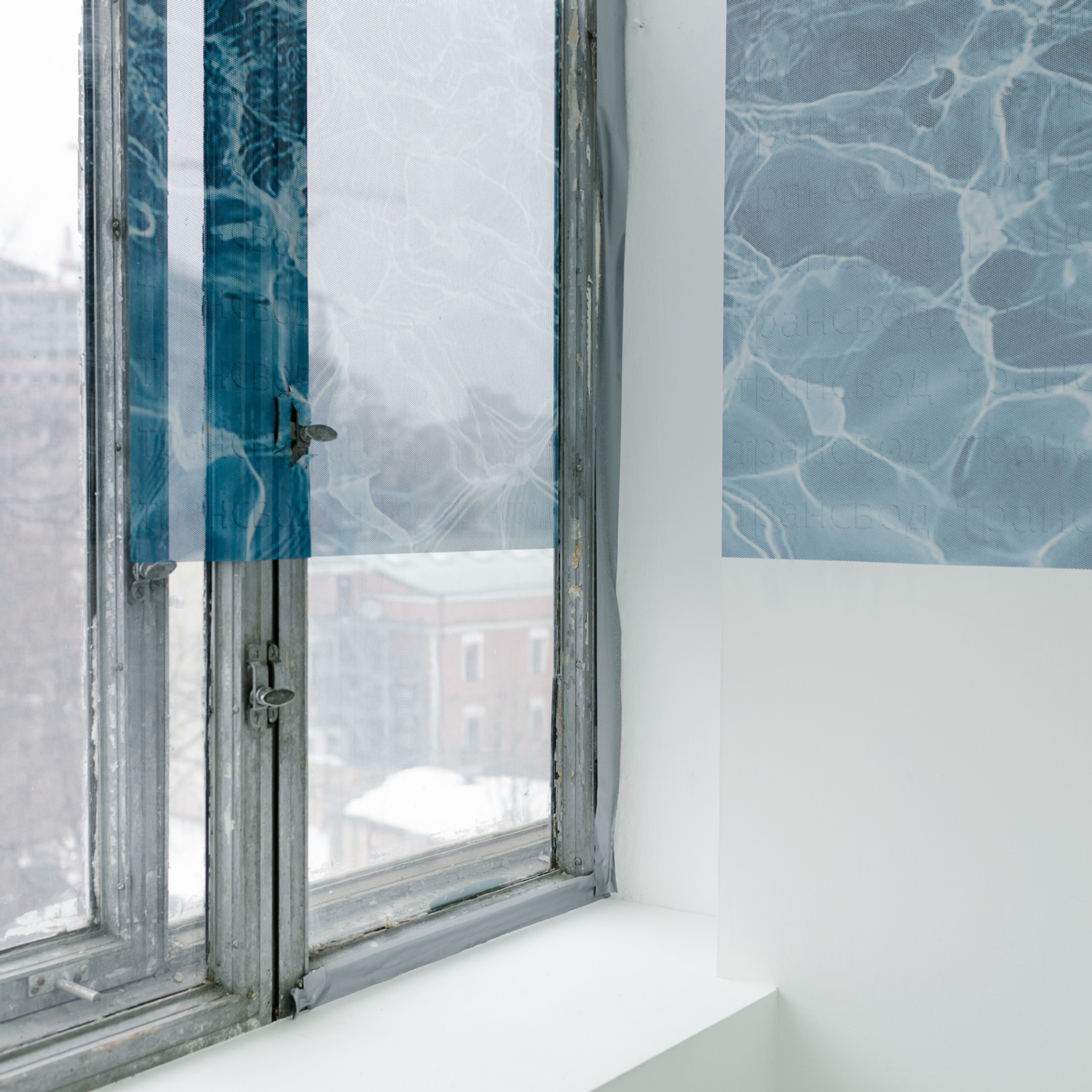 ТРАНСВОД. Фотограф Аня Марченкова