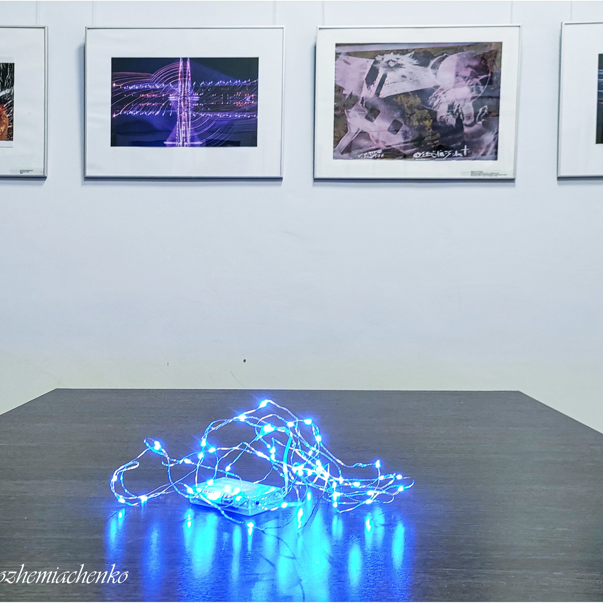 ФИНИСАЖ ВЫСТАВКИ