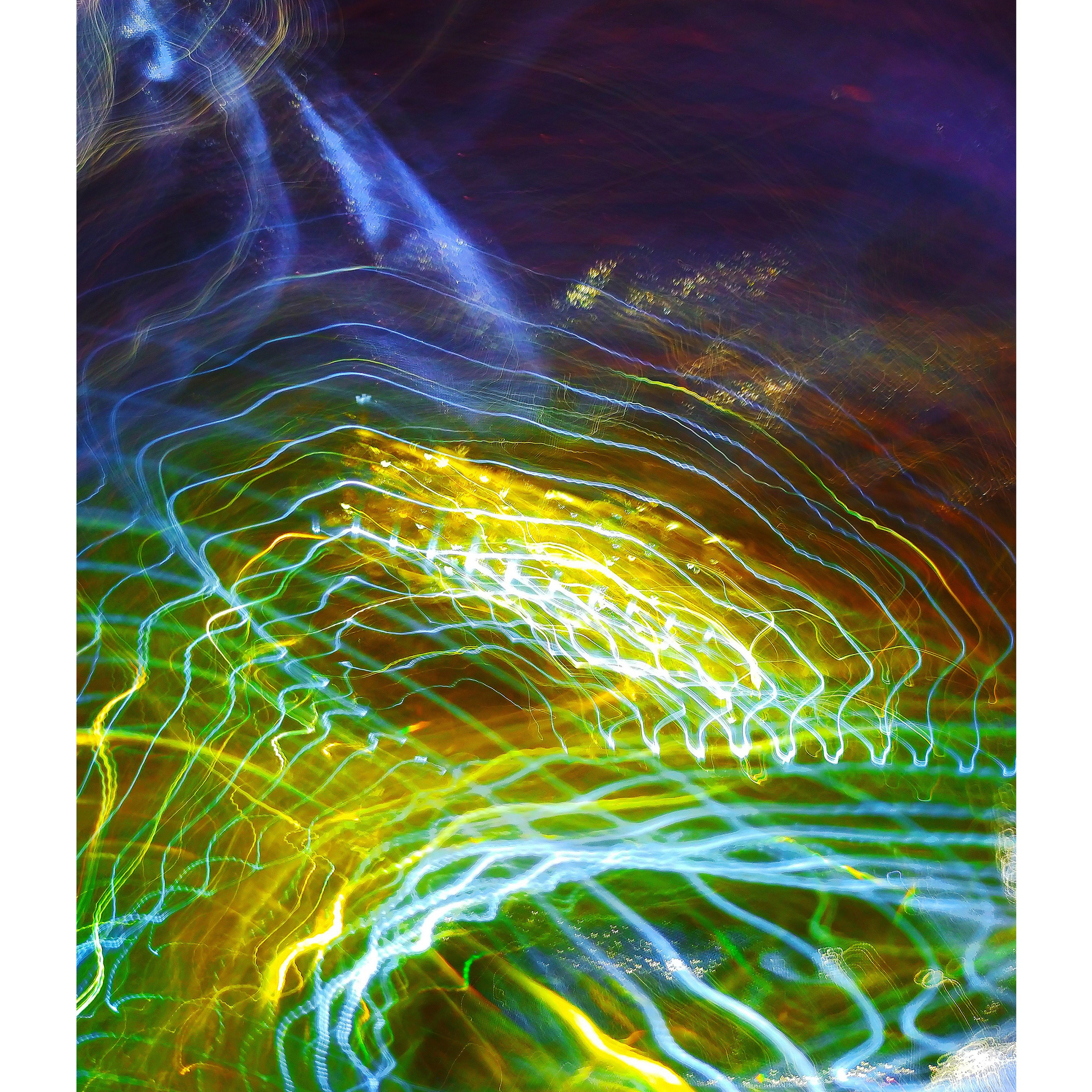 Елена Борсук