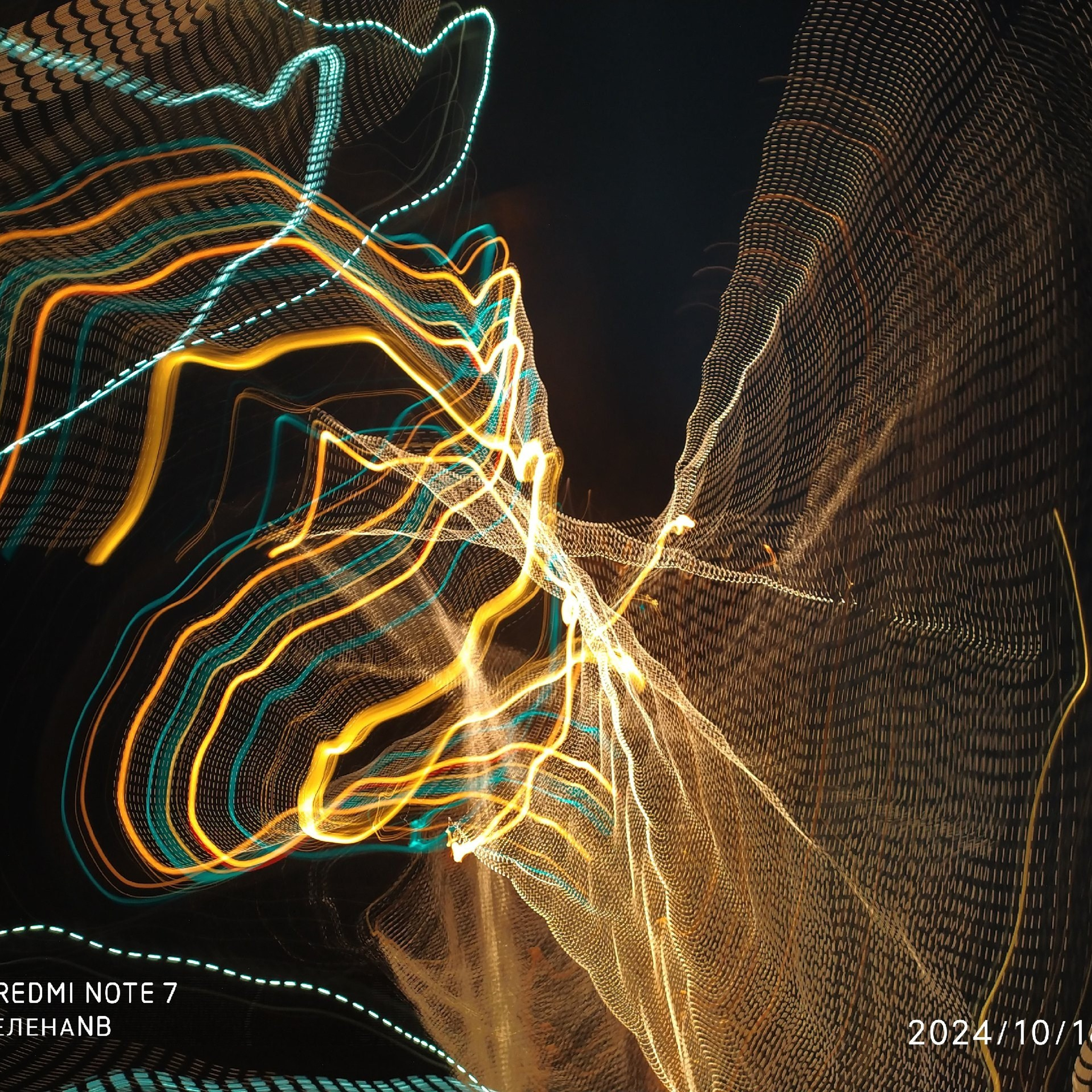 Елена Борсук