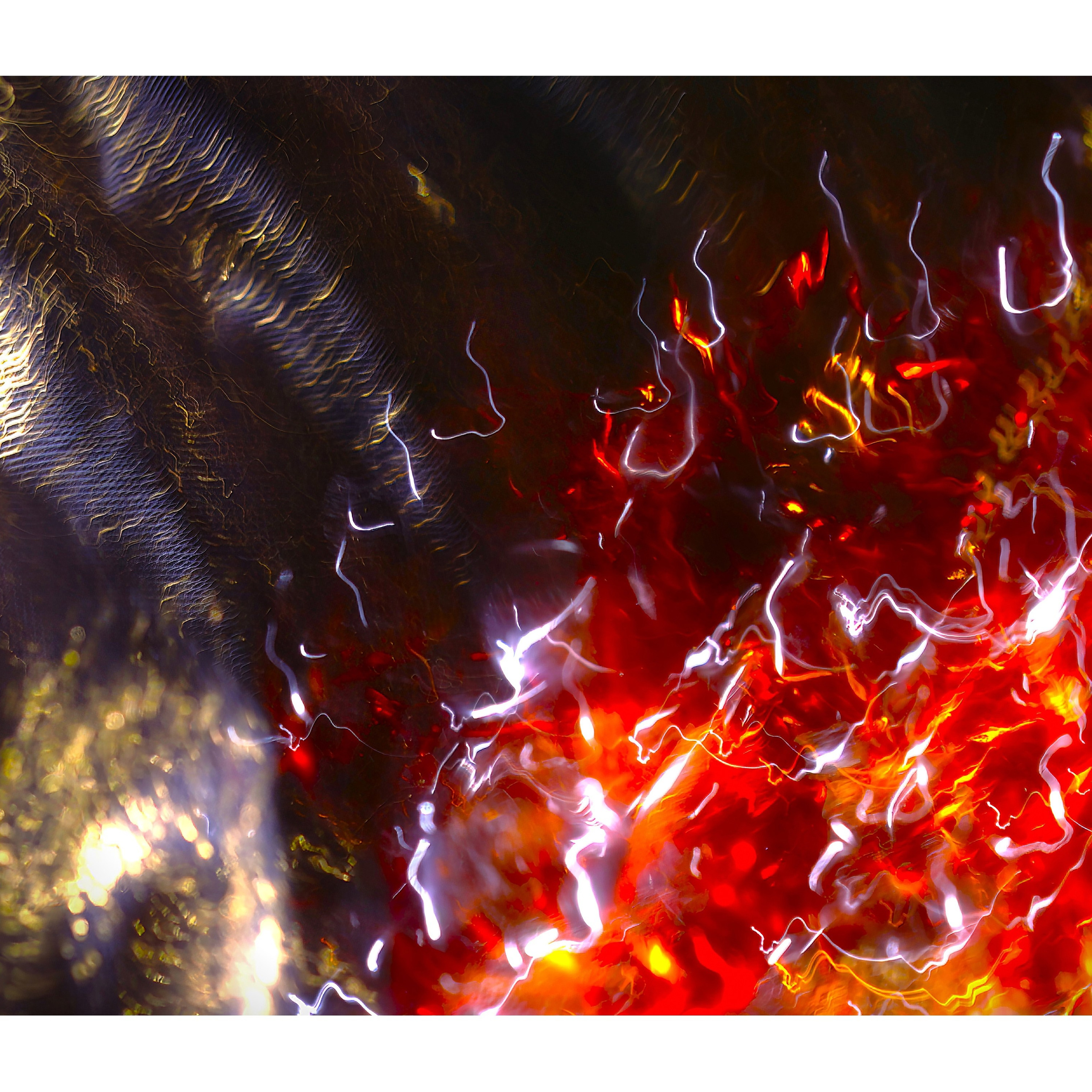 Елена Борсук