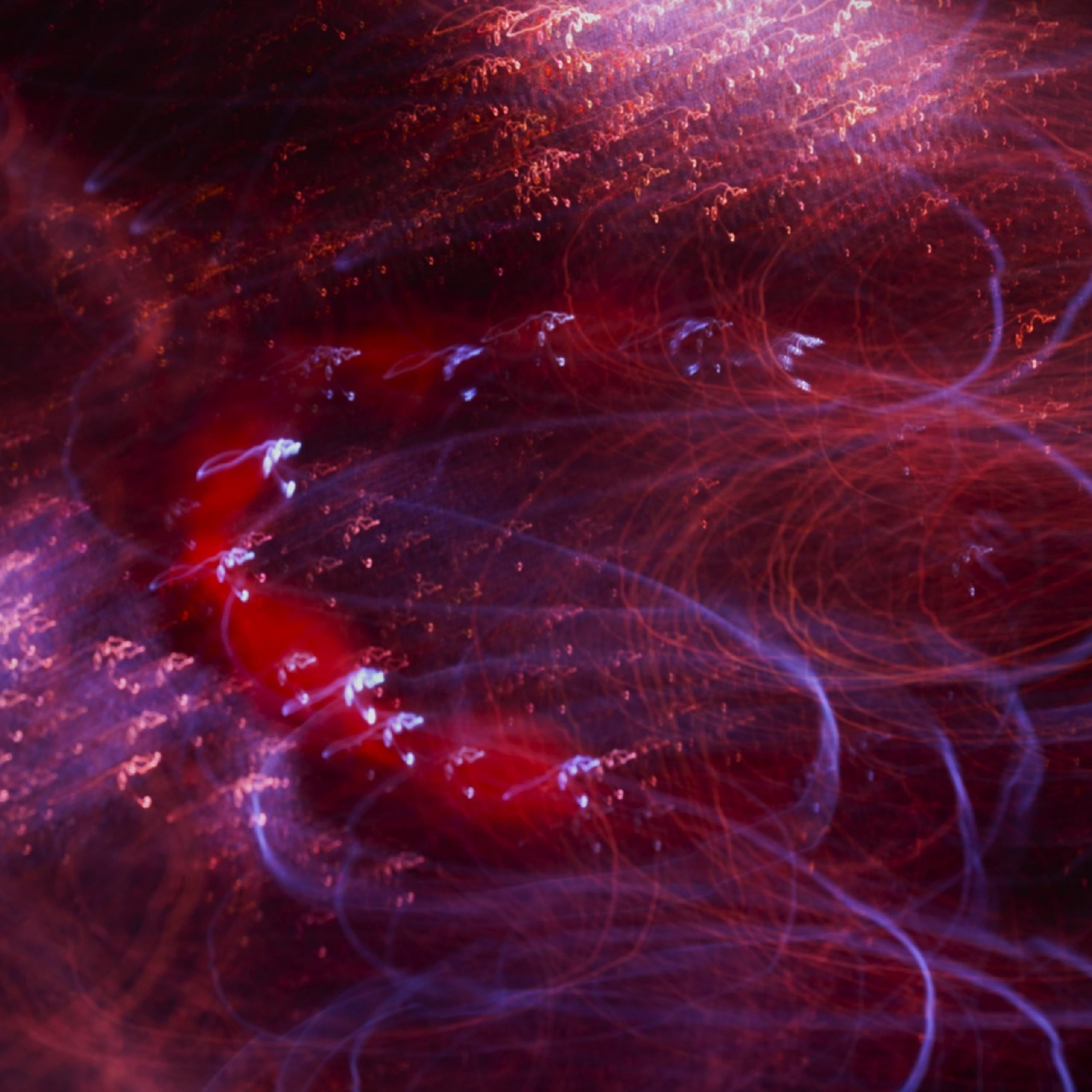 Елена Борсук