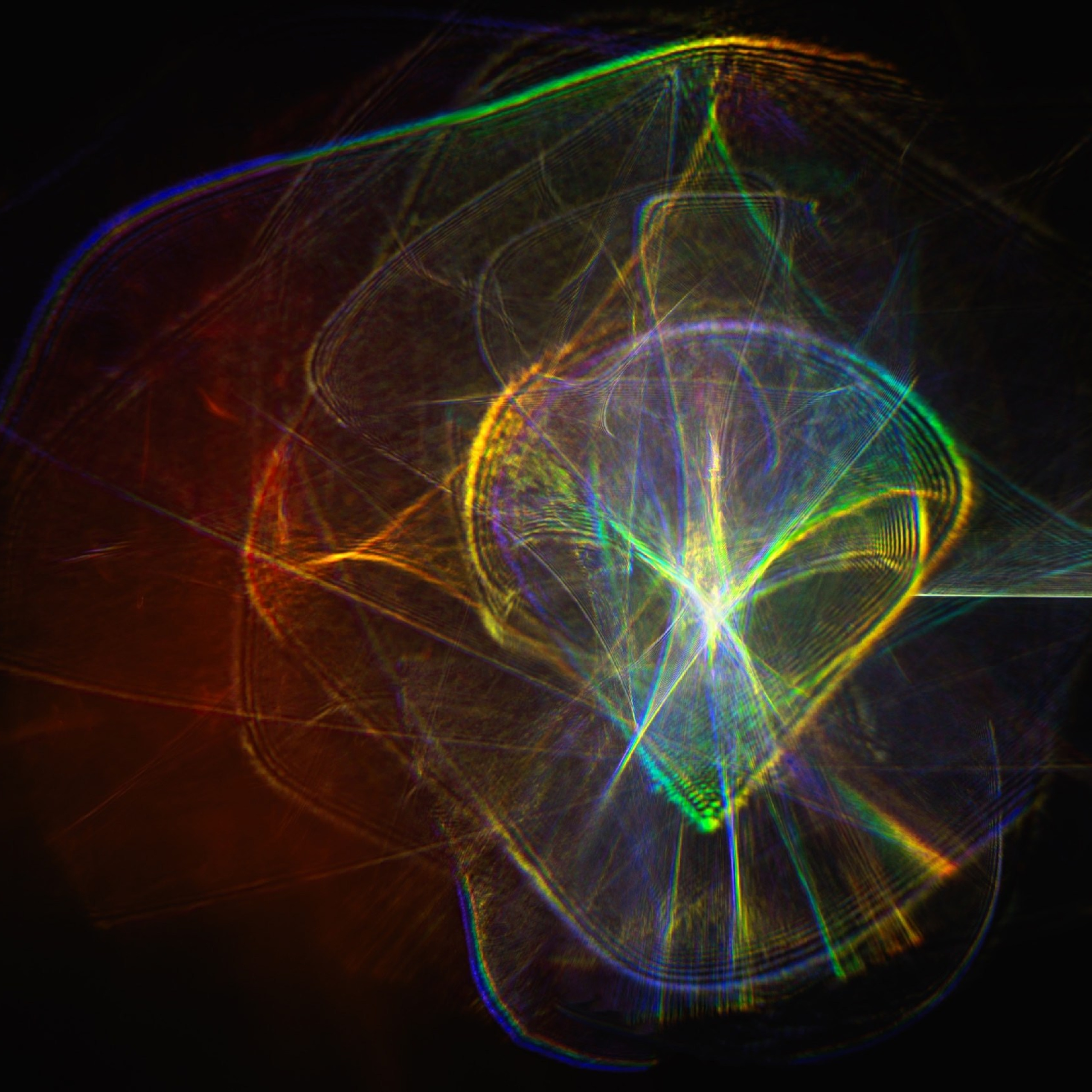 Надежда Зайцева, Люминографическое общество, люминограф, lightpainting, luminografia,