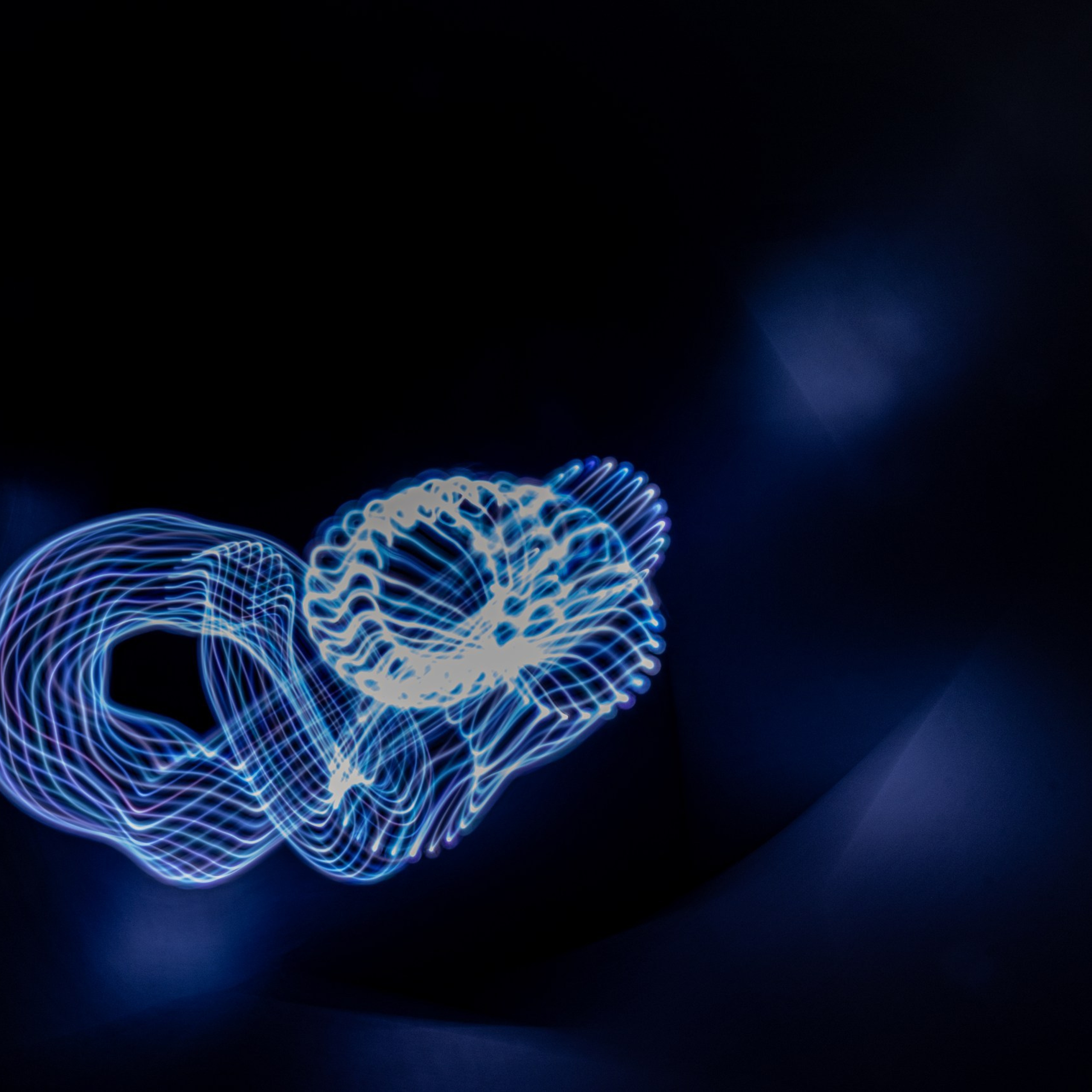 Юлия МИХНОВА. МАСТЕР-КЛАСС