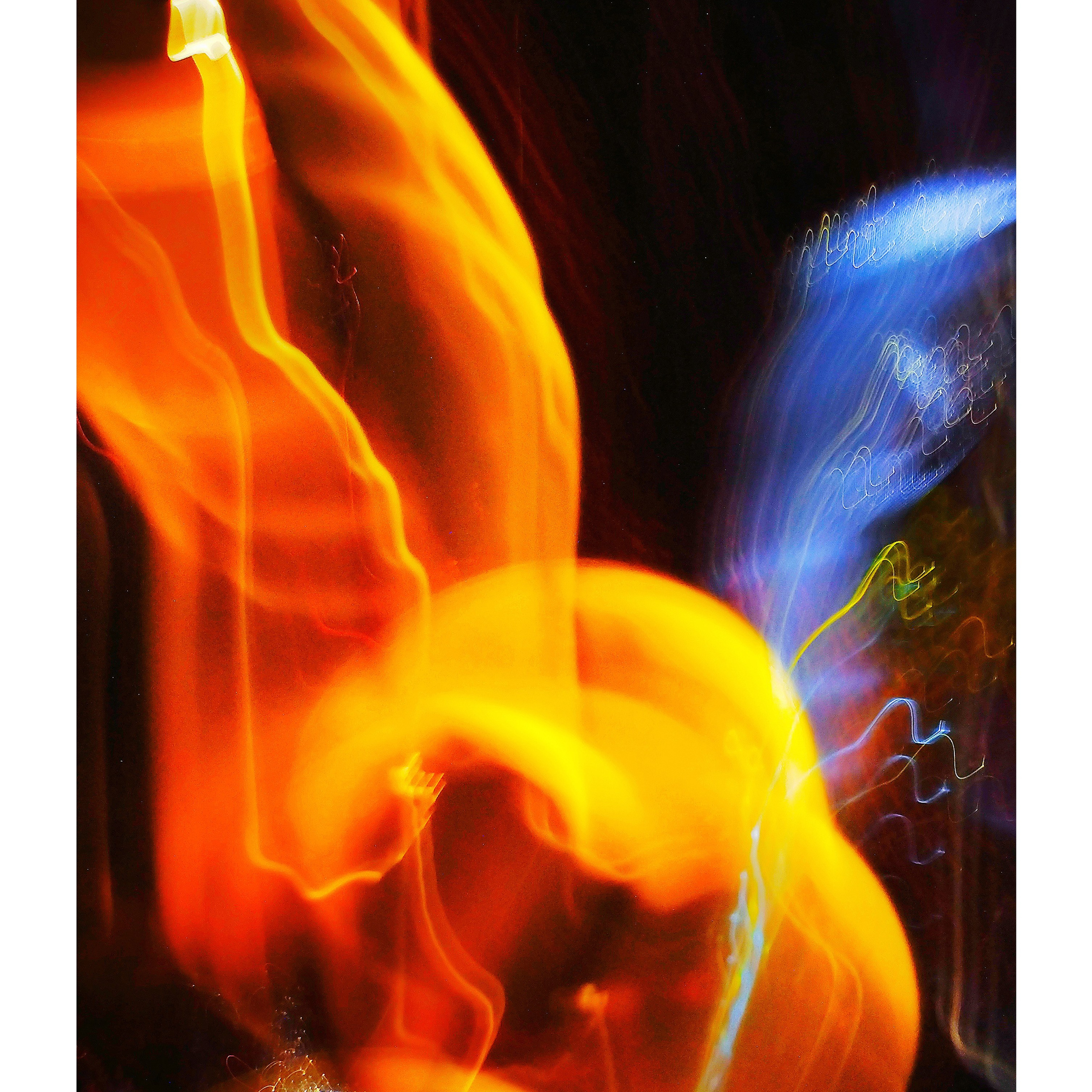 Елена Борсук