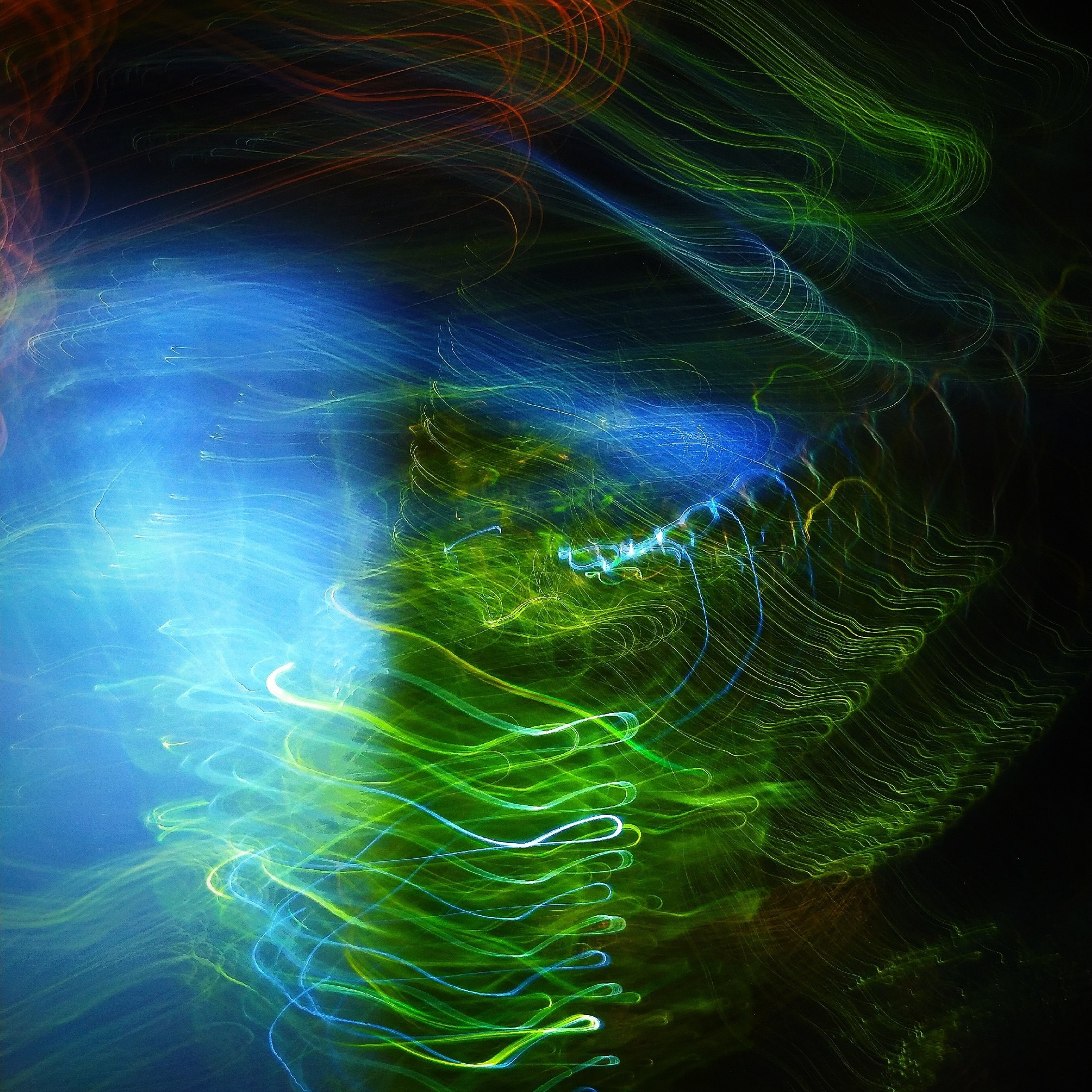 Елена Борсук