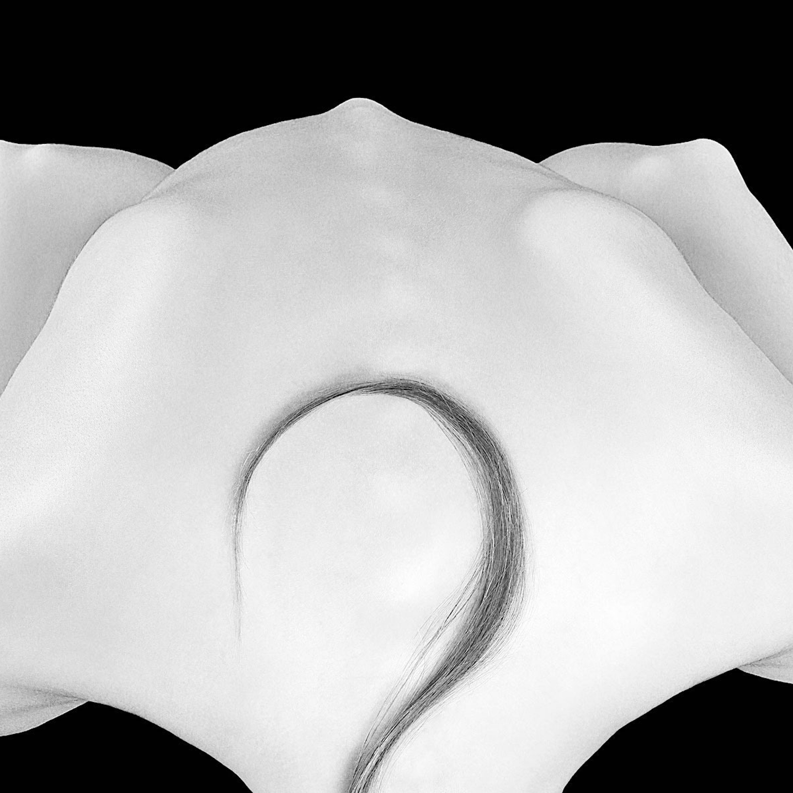 Curves of nature nude body photo