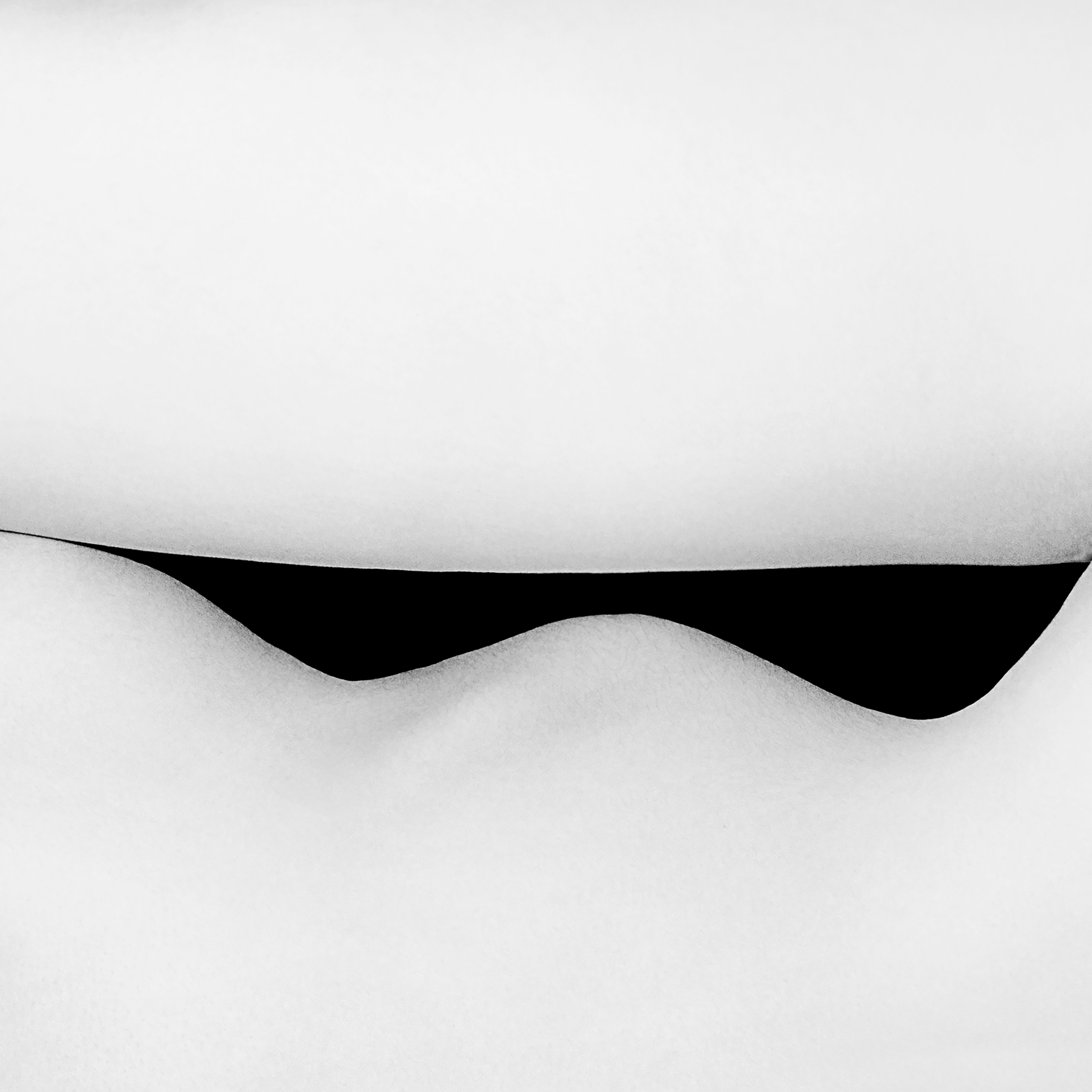 Beautiful lines of the nude female body in photography