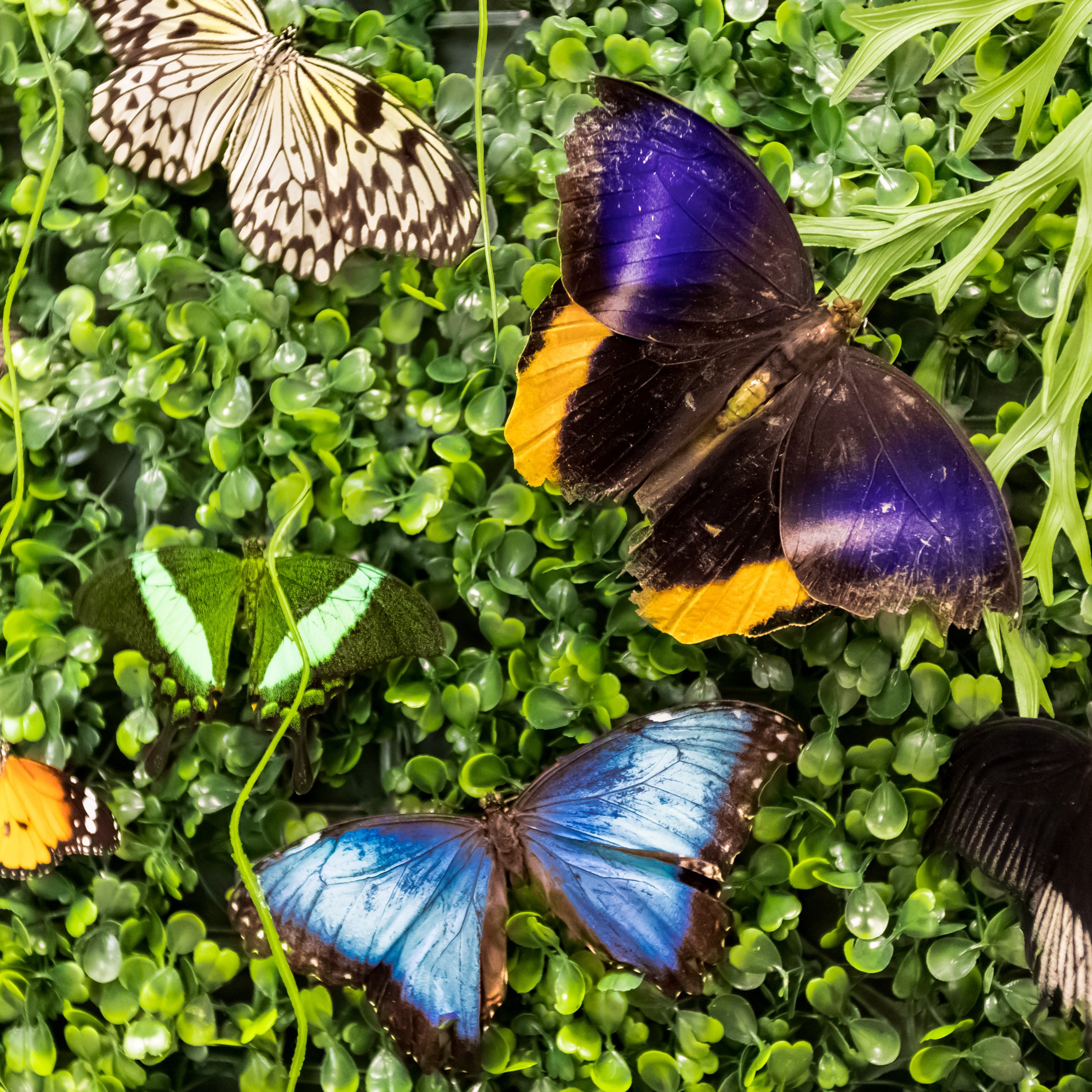 Интерьеры, Контент, Портреты | Фотограф в Москве Дани Терно