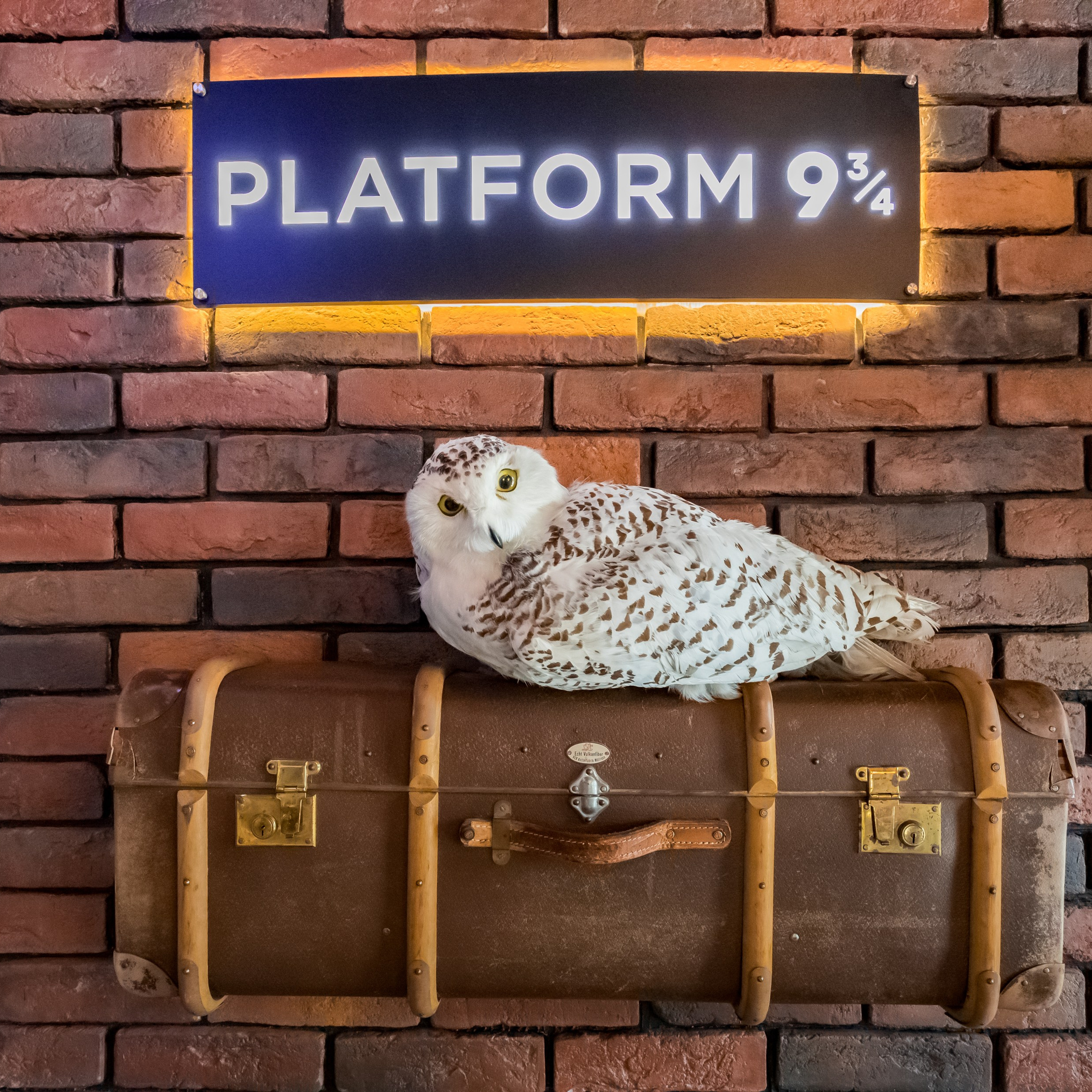 Интерьеры, Контент, Портреты | Фотограф в Москве Дани Терно