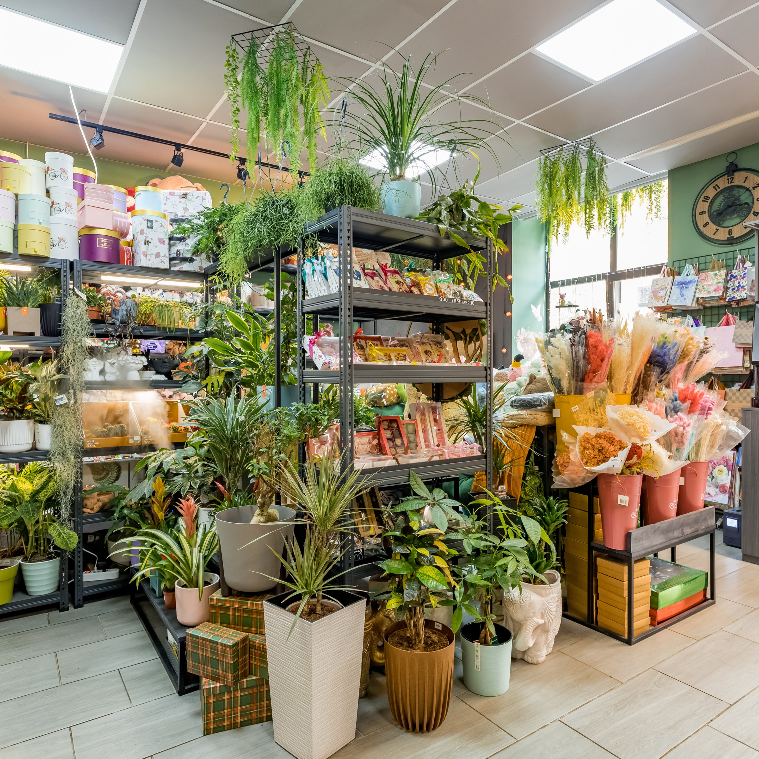 Интерьеры, Контент, Портреты | Фотограф в Москве Дани Терно