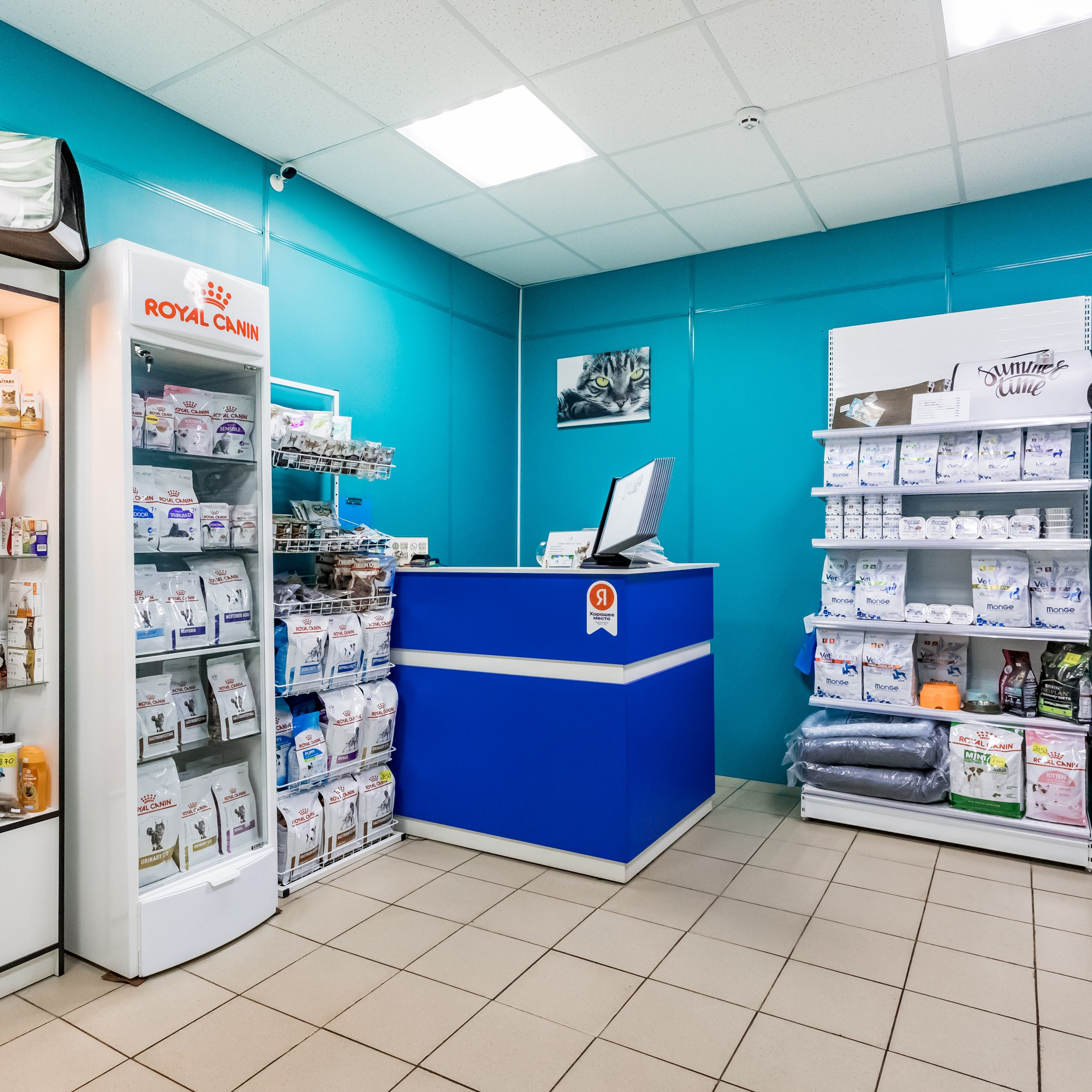 Интерьеры, Контент, Портреты | Фотограф в Москве Дани Терно