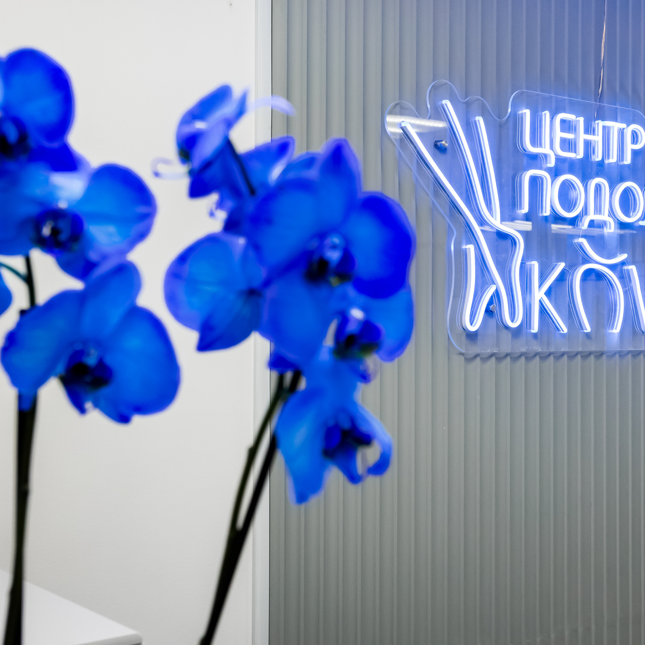 Интерьеры, Контент, Портреты | Фотограф в Москве Дани Терно