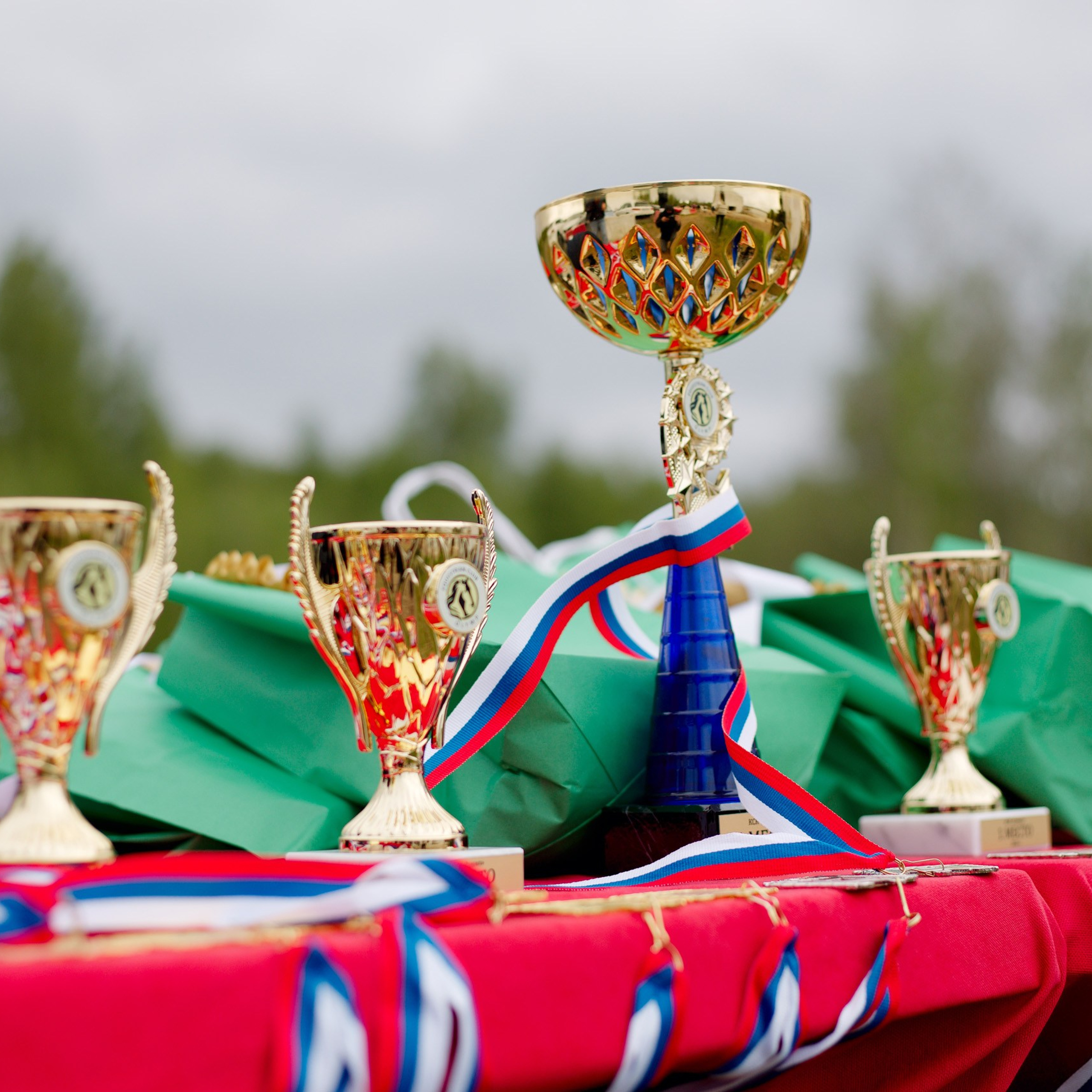 Winner — 23.05.2026. Портретный и конный фотограф в Санкт-Петербурге — Сергей Крылов