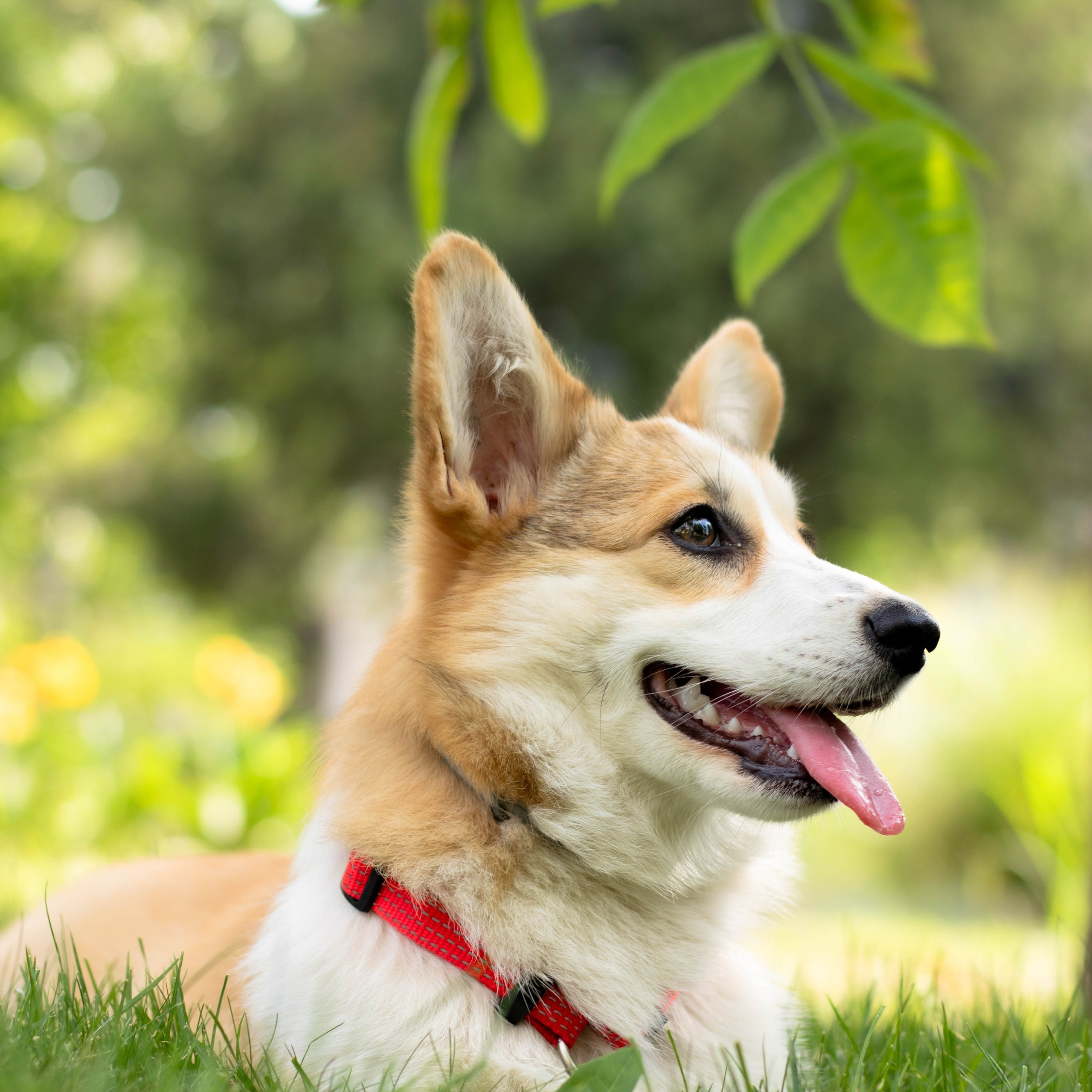 Таня и Джесси. Фотограф из Краснодара