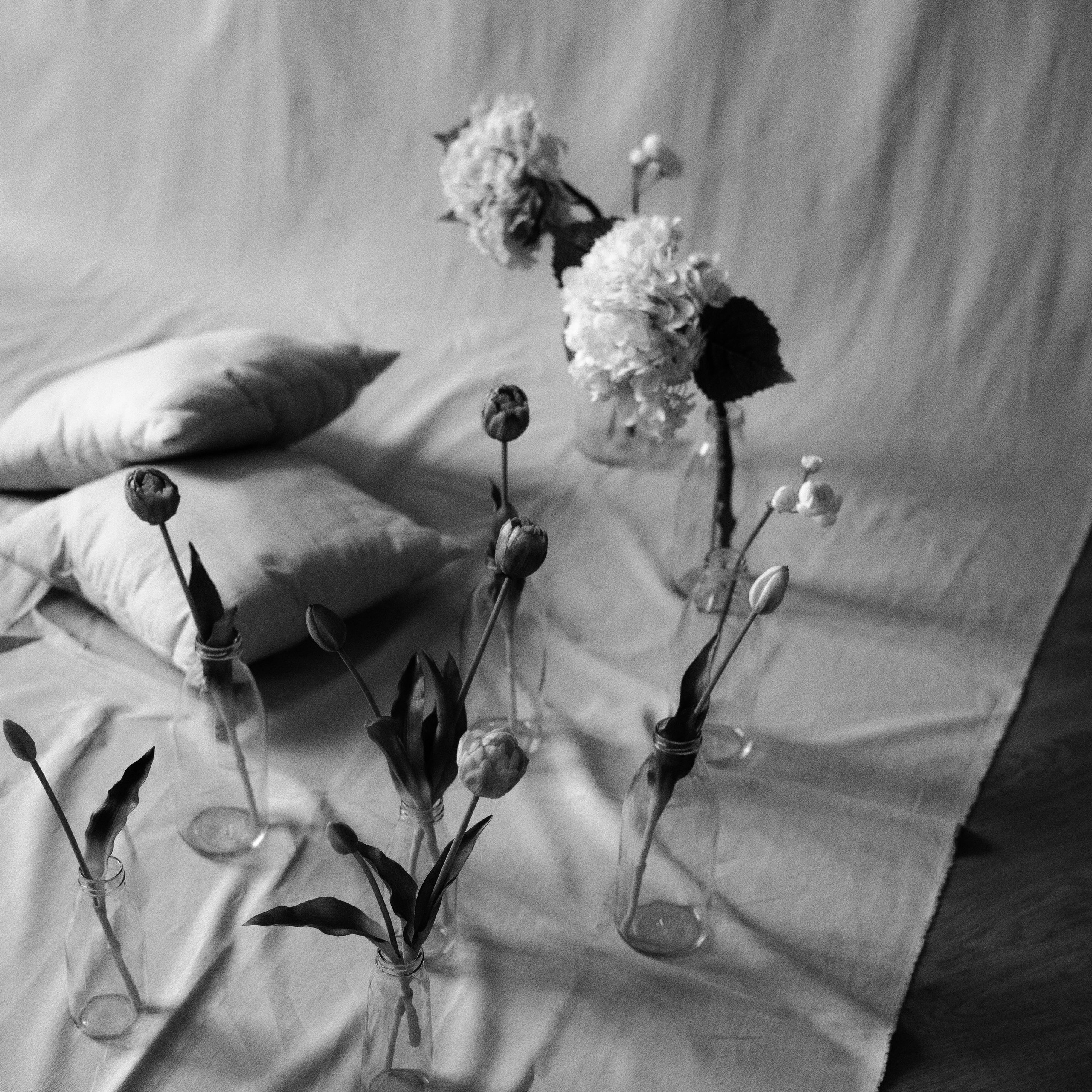 Виктория и Оливия