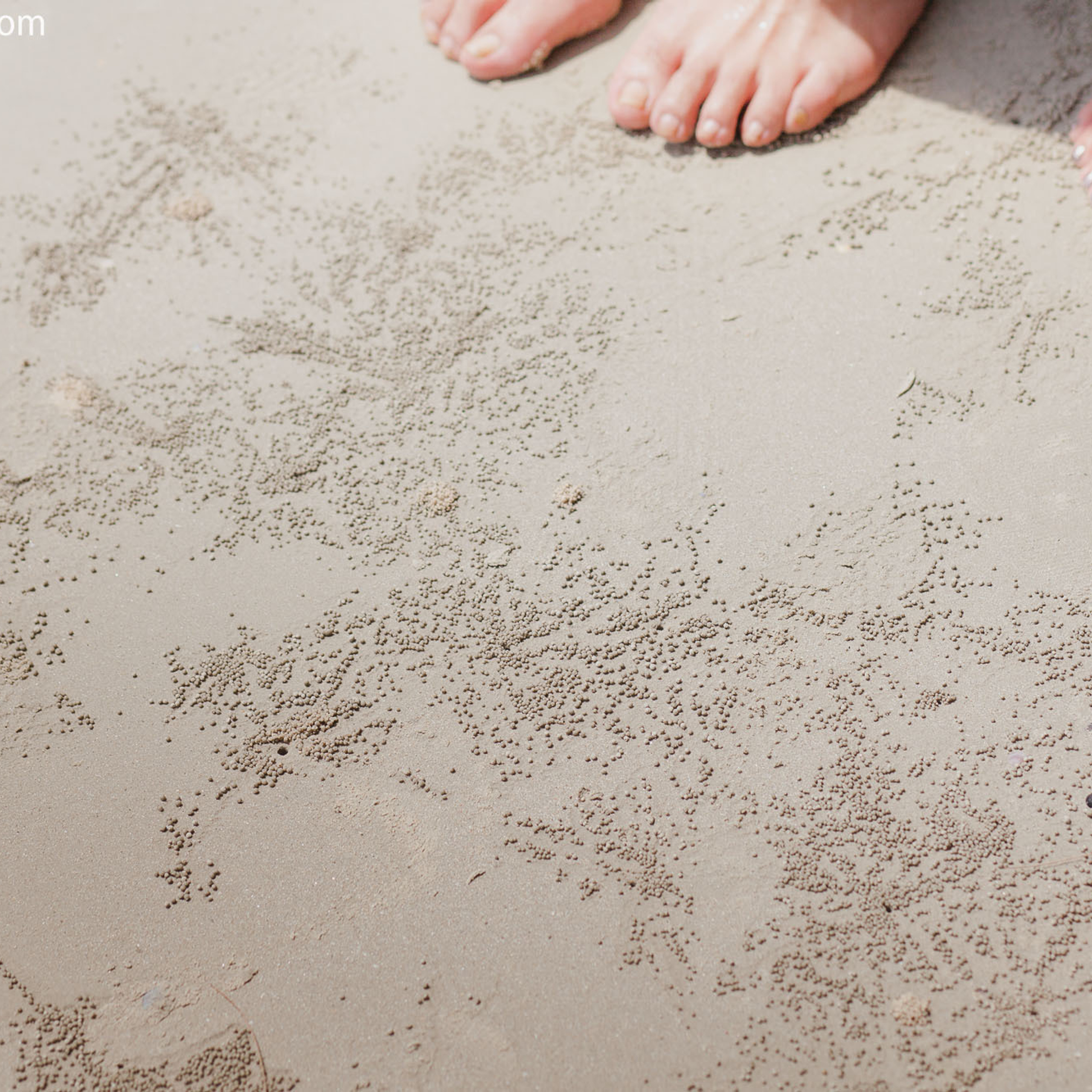 Emerald lake & beaches in Krabi