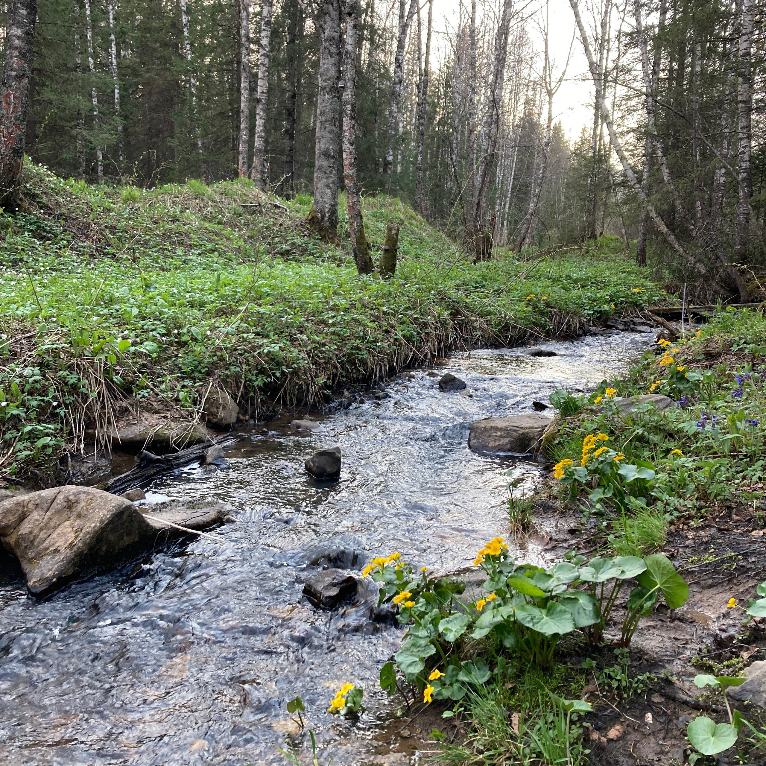 Идем на восток. Портретный фотограф Москва, репортаж и естественная постановка