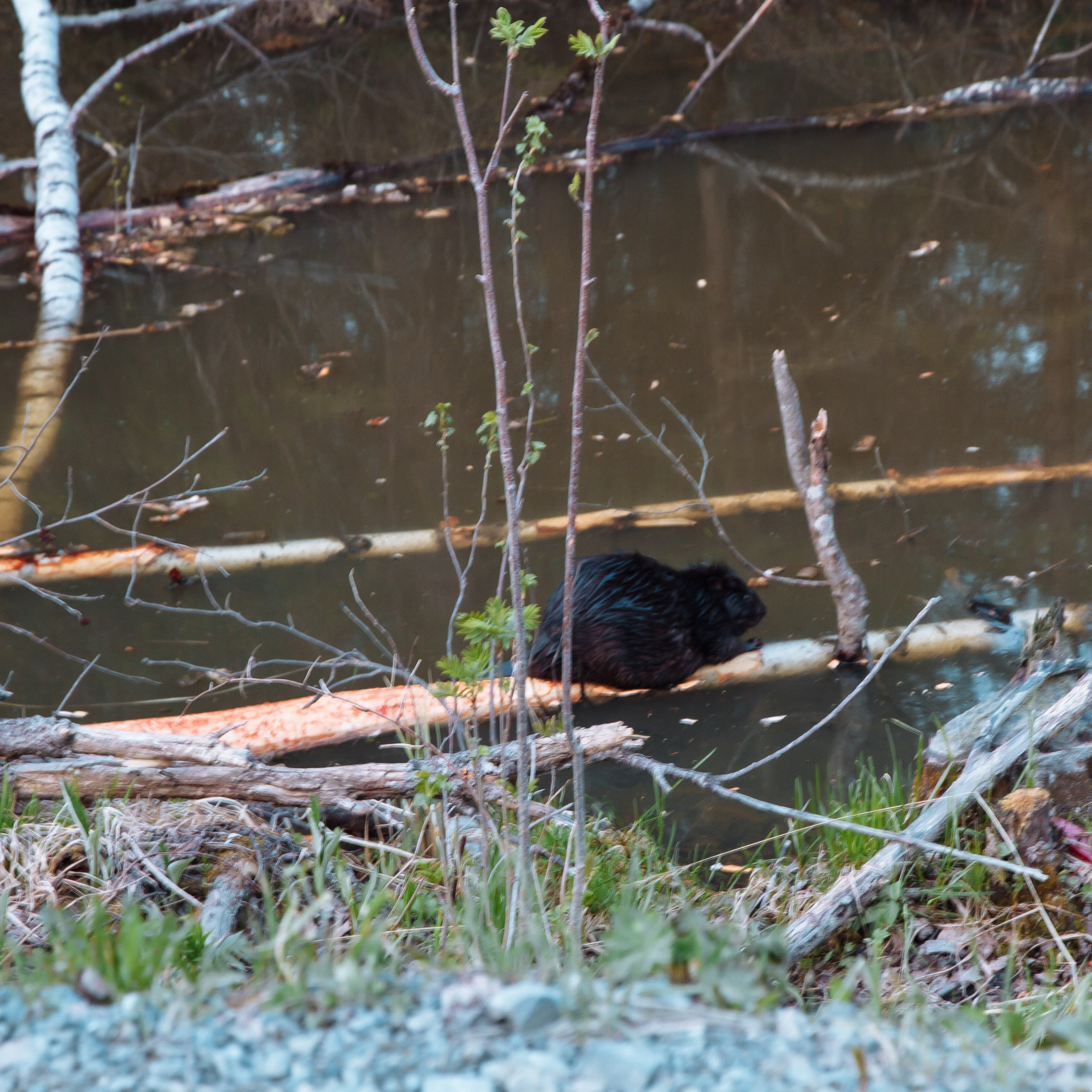 Идем на восток. Портретный фотограф Москва, репортаж и естественная постановка