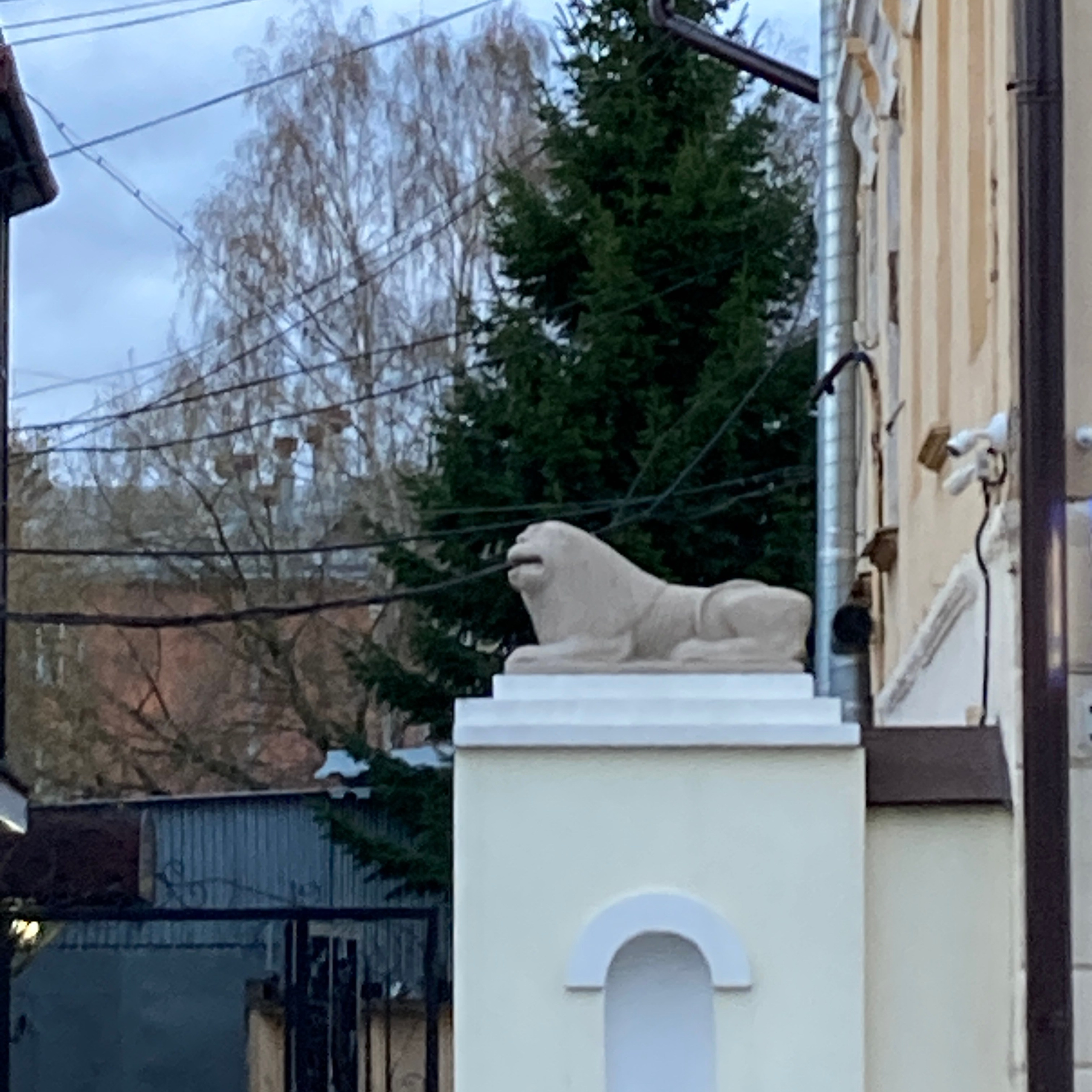 Идем на восток. Портретный фотограф Москва, репортаж и естественная постановка