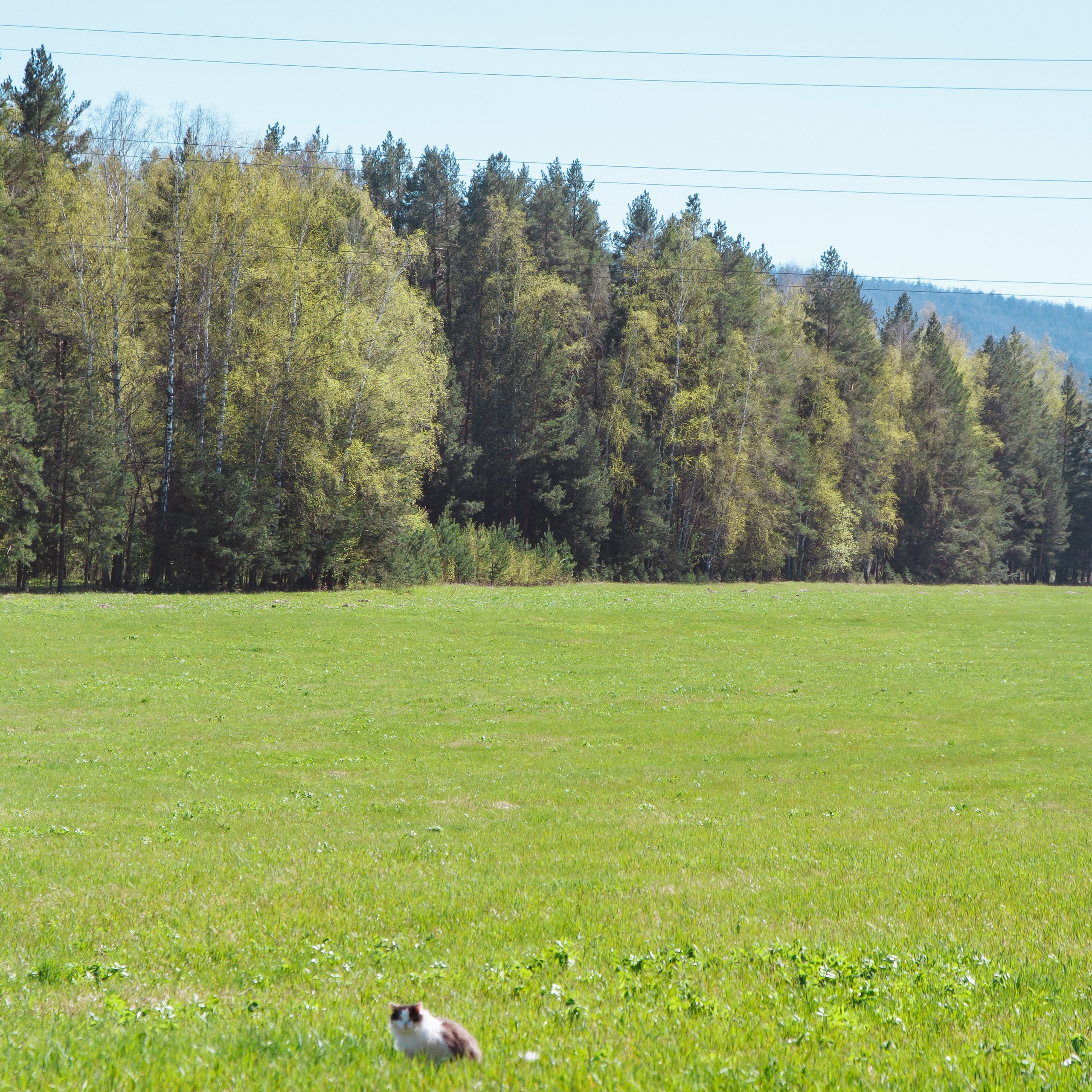 Идем на восток. Портретный фотограф Москва, репортаж и естественная постановка