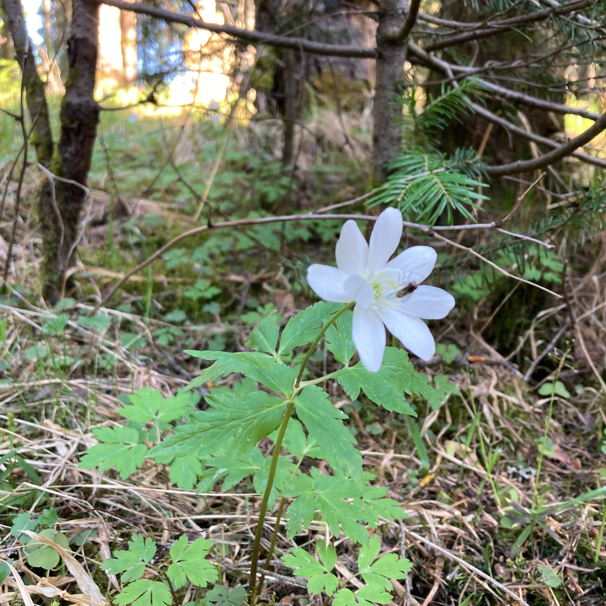 Идем на восток. Портретный фотограф Москва, репортаж и естественная постановка