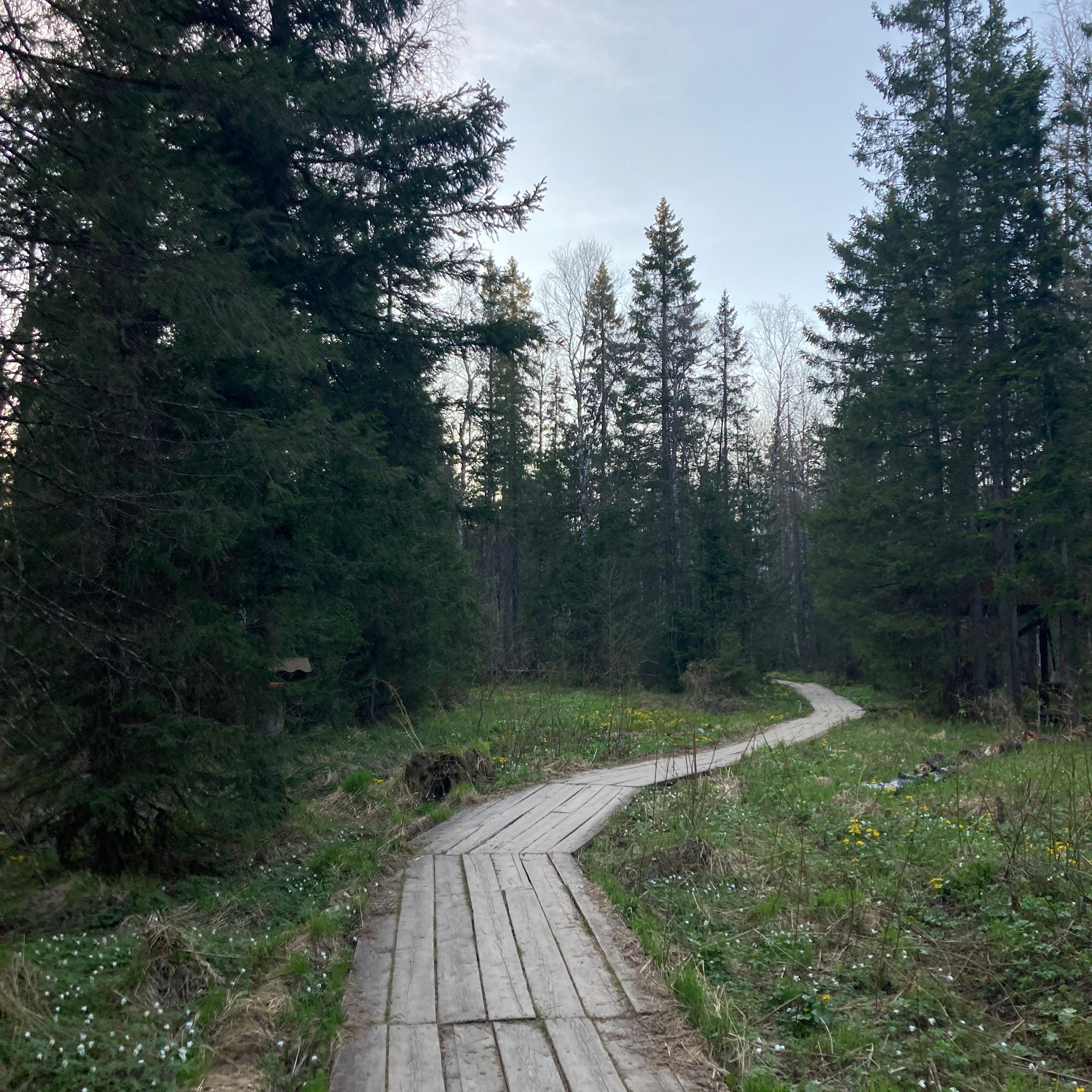 Идем на восток. Портретный фотограф Москва, репортаж и естественная постановка