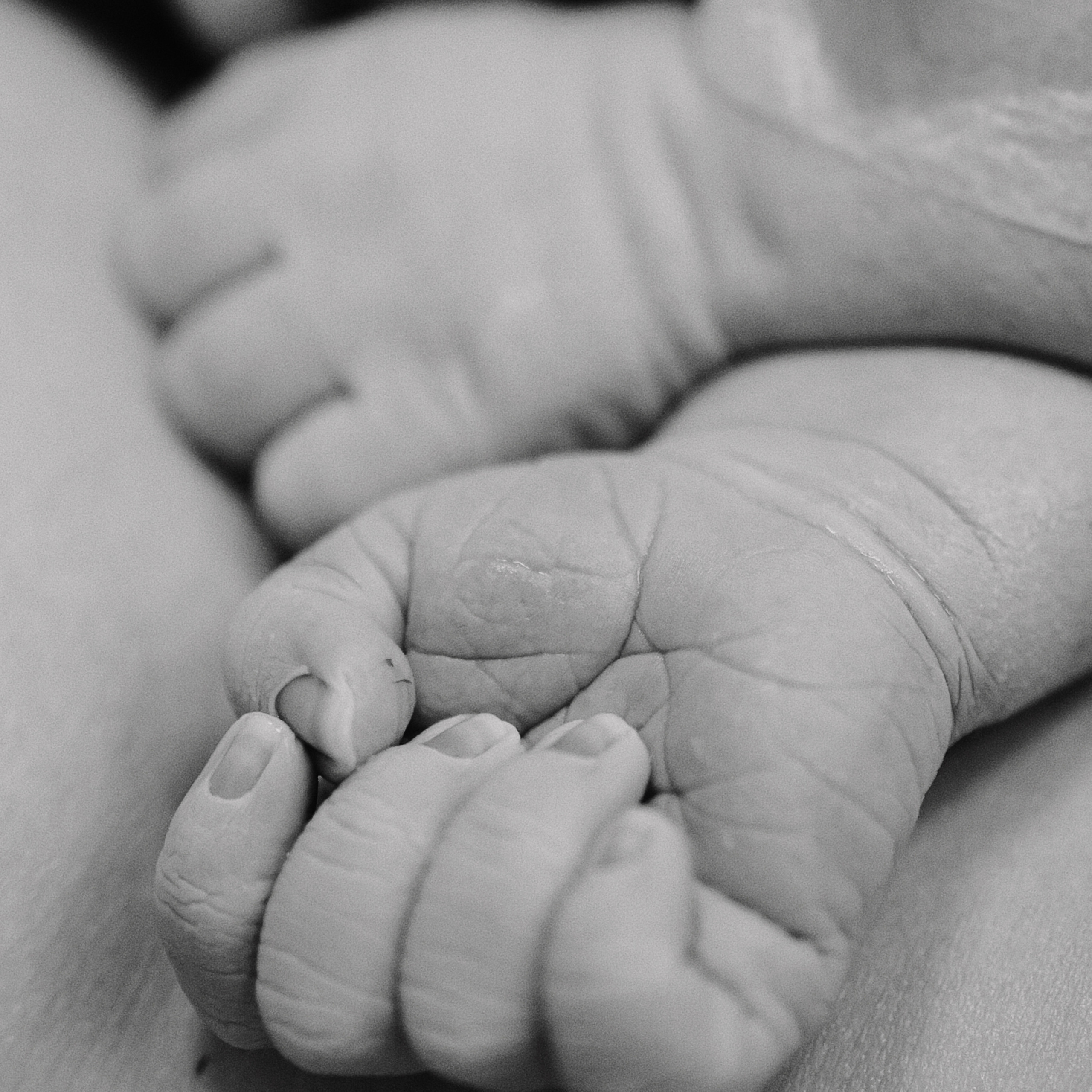 Роды в Нижнем Новгороде, фотограф на роды в Нижнем Новгороде, фотограф рождения в Нижнем Новгороде, Фотограф на роды Елена Лисина, Елена Лисина фотограф рождения, фотосъемка родов, видеосъемка родов, 1 роддом, 1 роддом Нижний Новгород