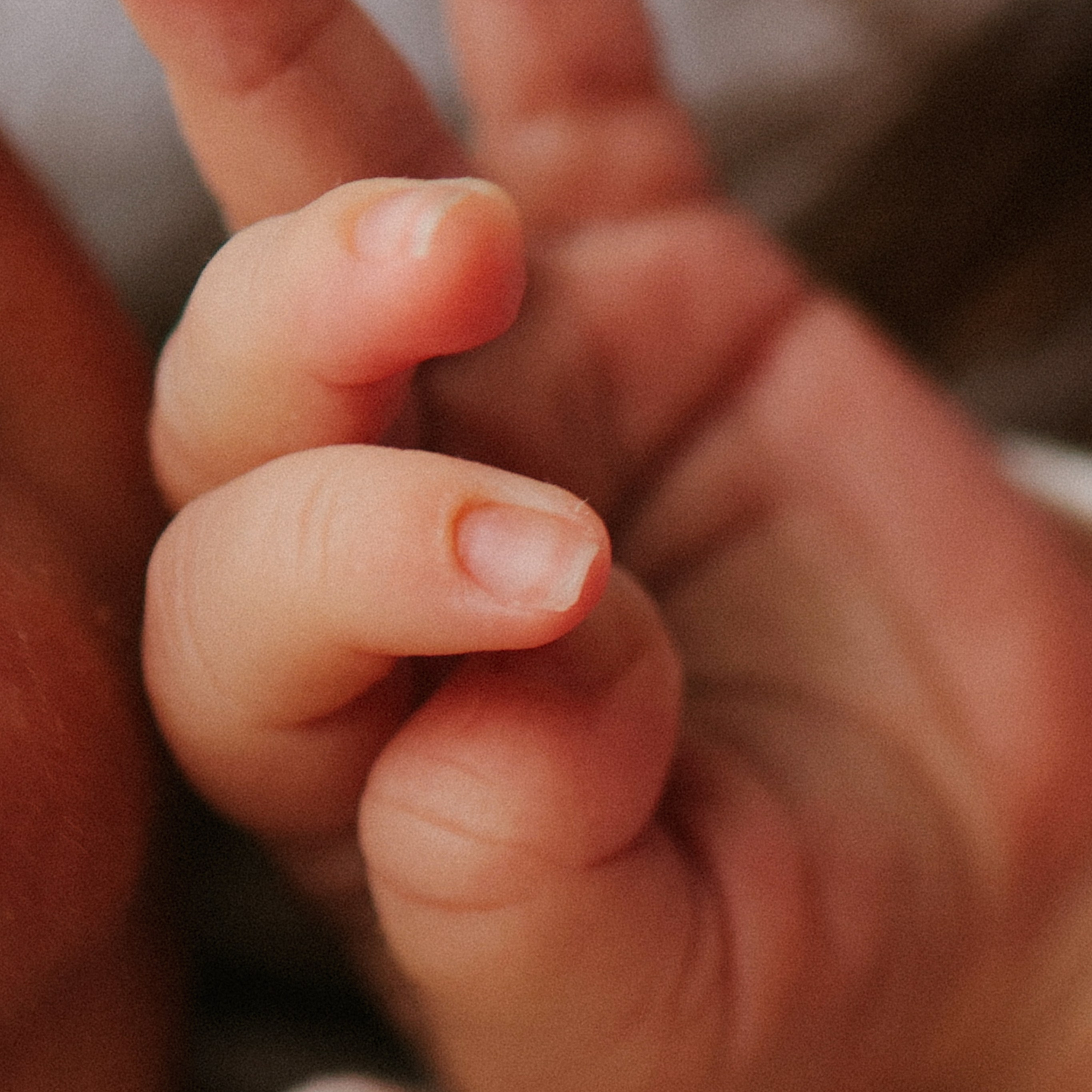 Домашний ньборн в Нижнем Новгороде. Фотограф и видеограф Елена Лисина