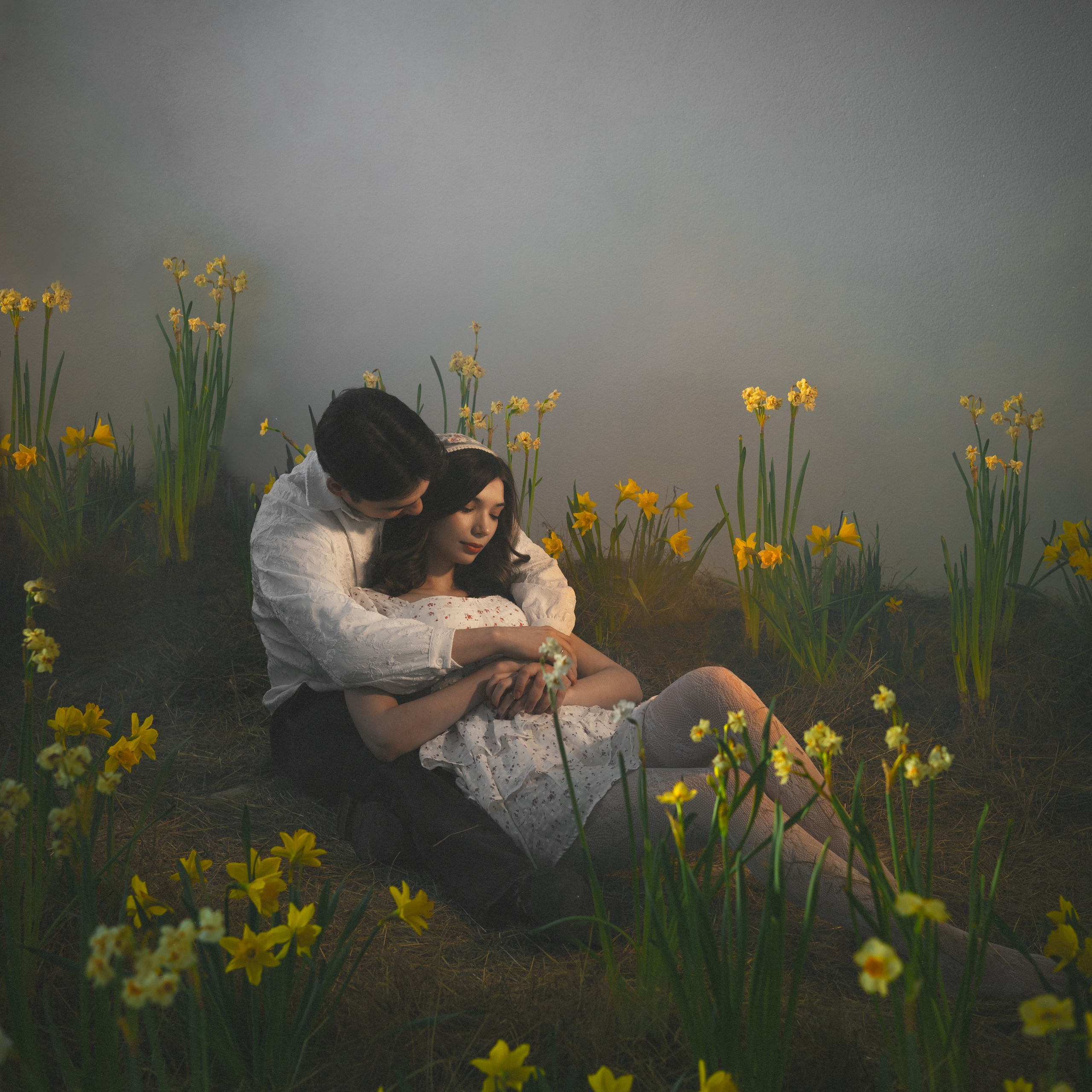 daffodils