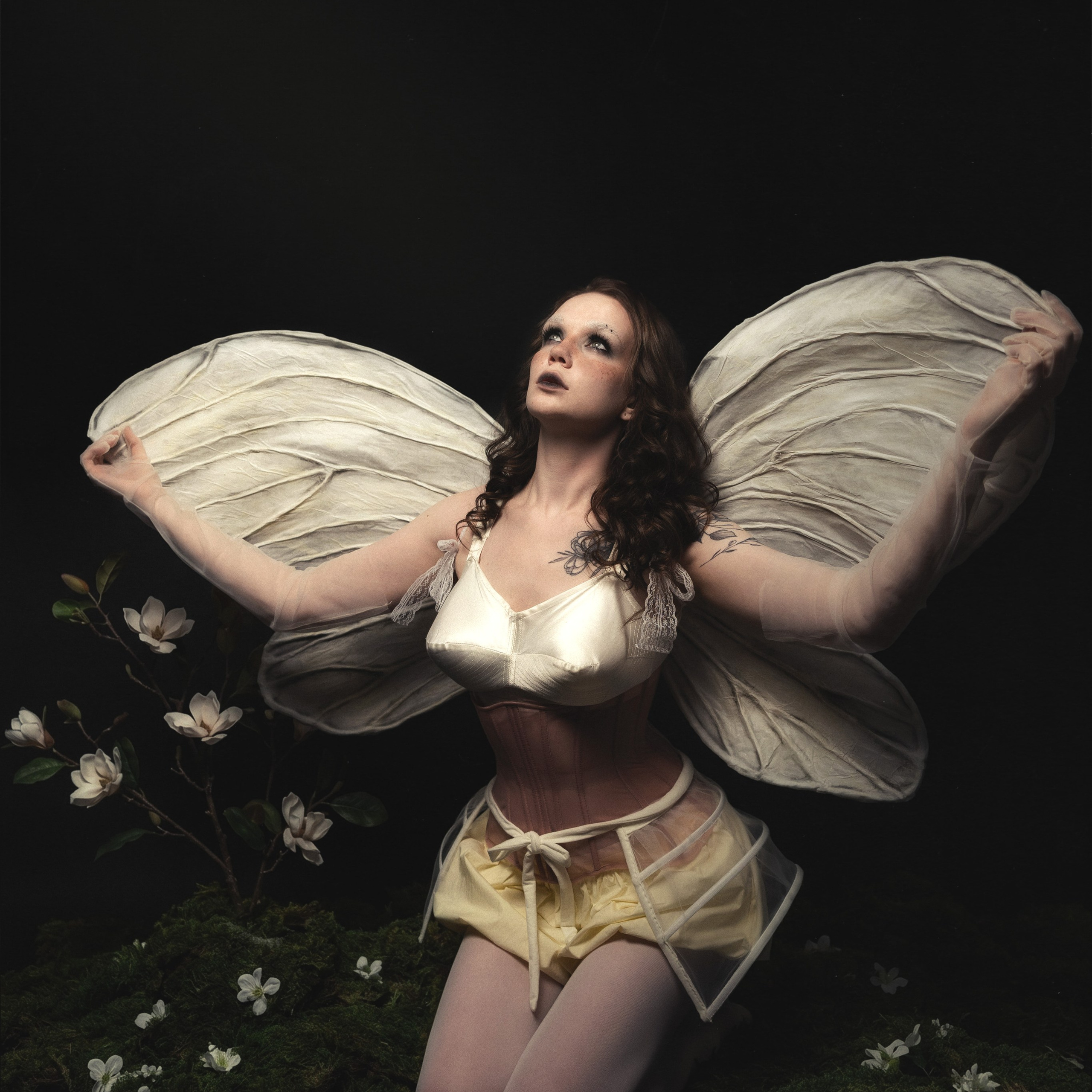 moth