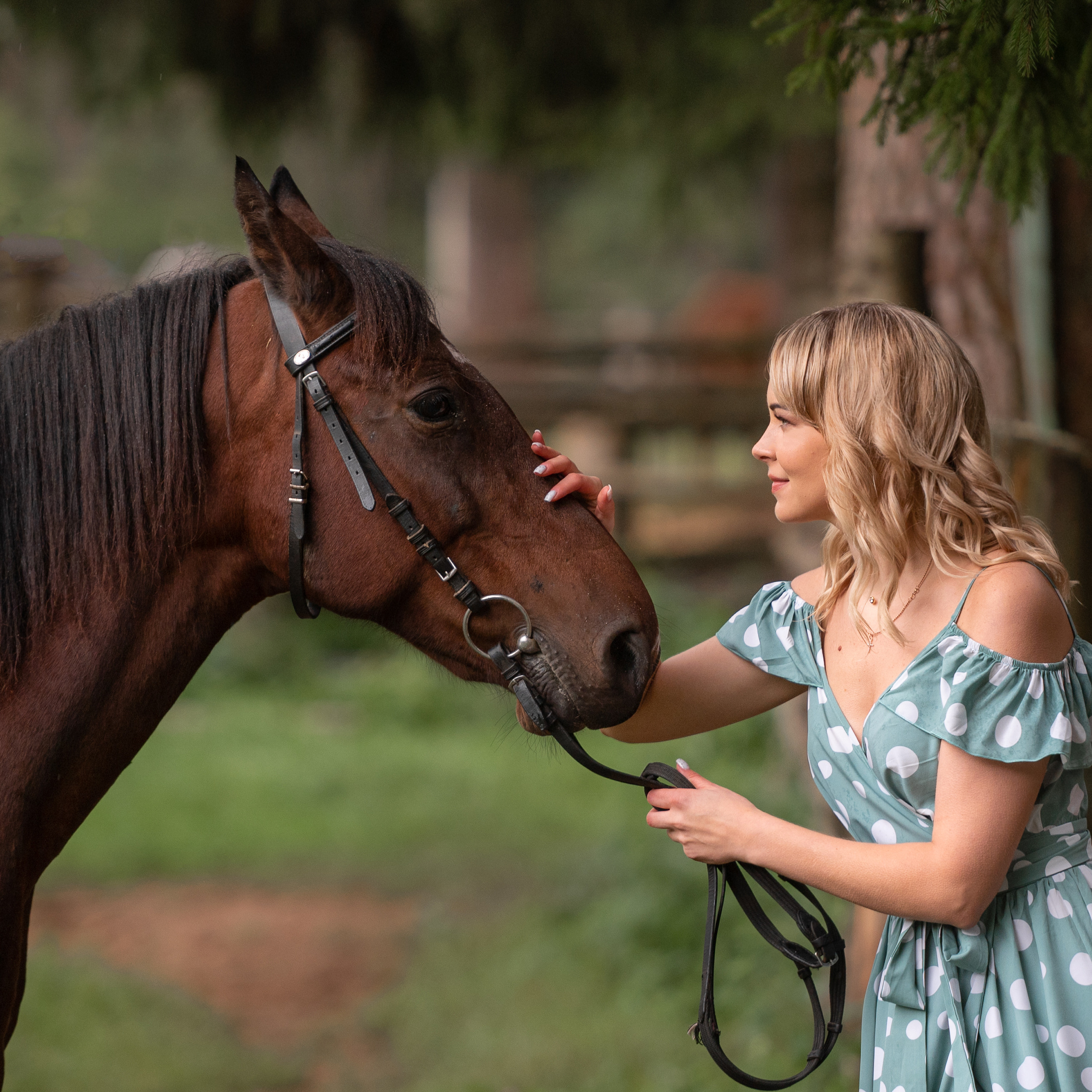 Истории. Конный и фотограф с животными в Твери Топталова Люся
