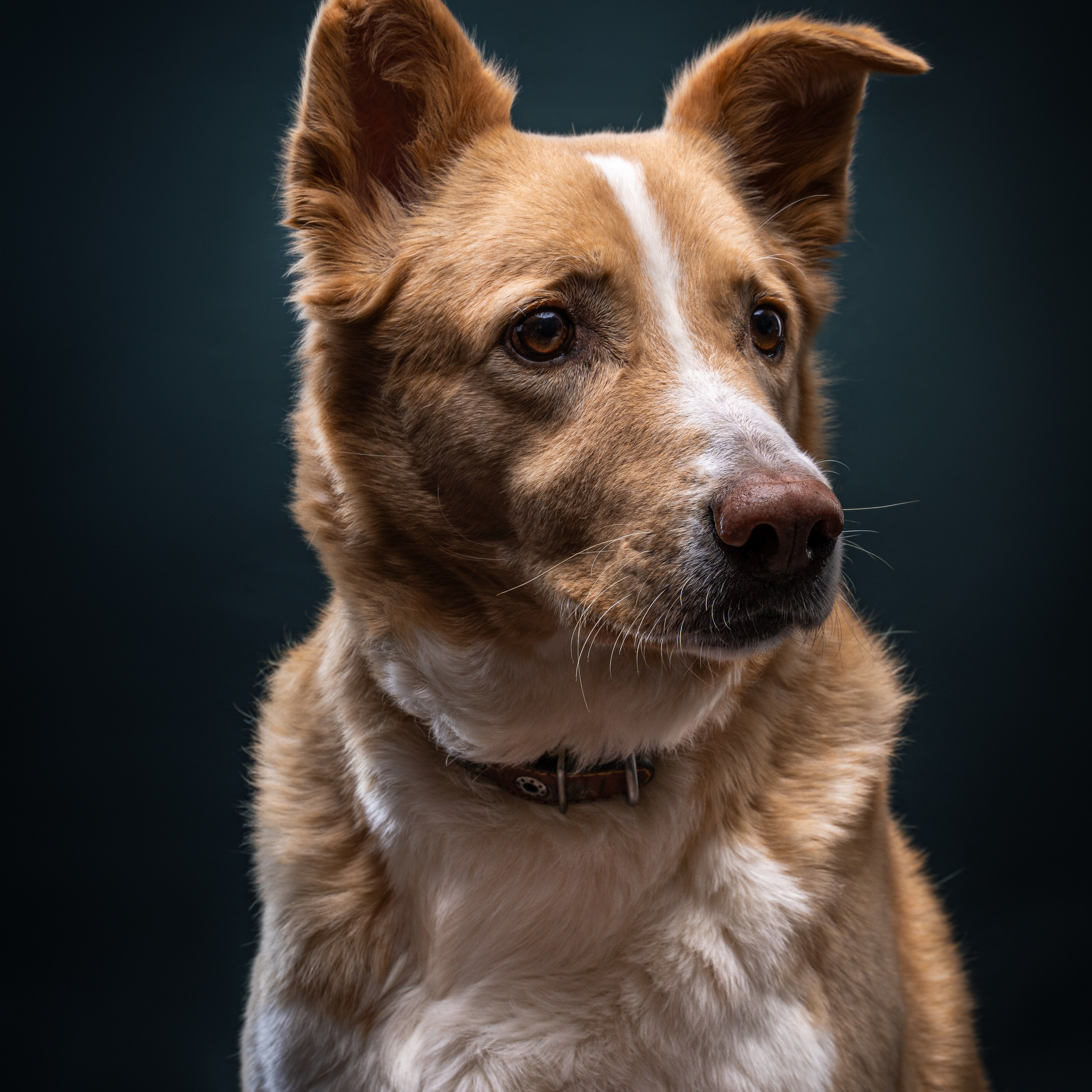 Предметный фотограф в Воронеже Дмитрий Игнатов