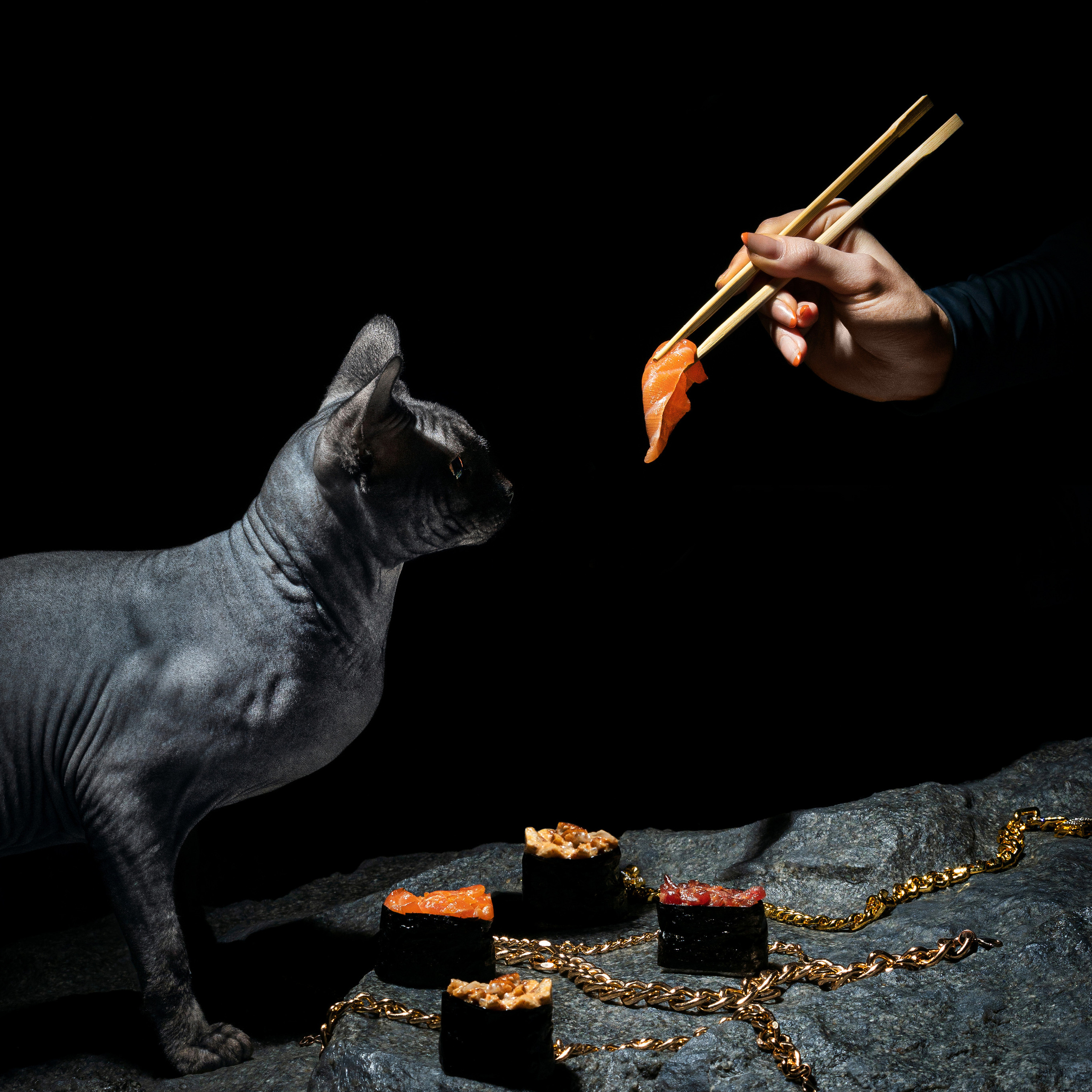 Съёмка для ресторанов: интерьер, меню и фуд-контент | Фото и видео для ресторанов | ZPROD. Фото и видеосъемка | продакшн студия ZPROD